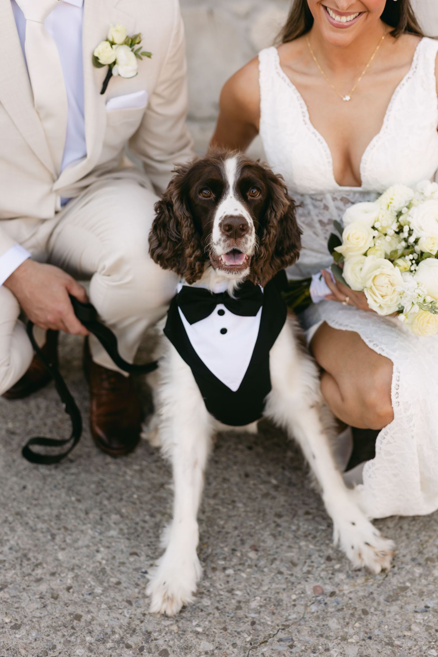 Dog in tuxedo vest joins wedding photo session on concrete ground.
