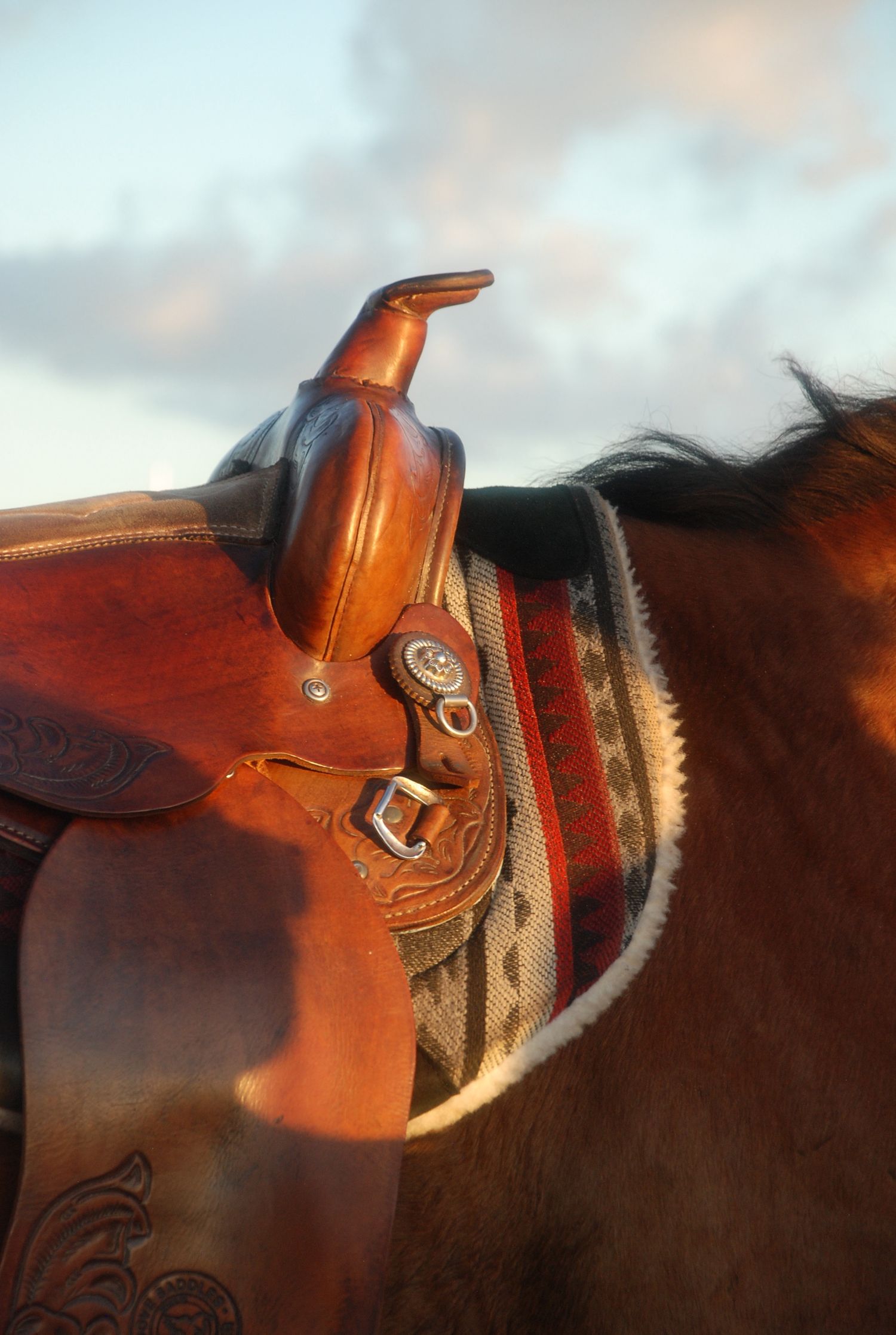 Candid close-up of a leather saddle on a horse