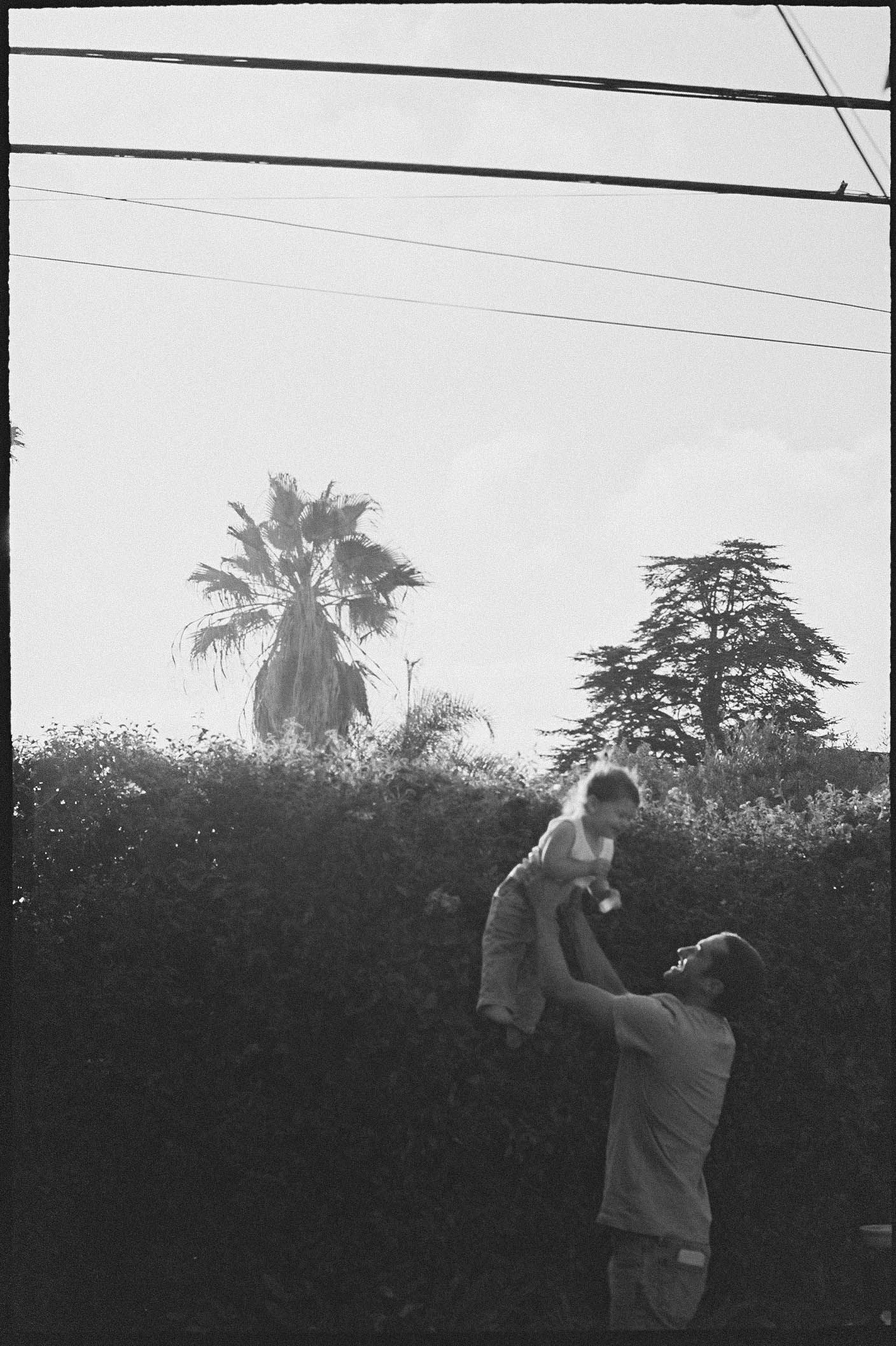 Silhouette sequence of person tossing object in air against palm tree backdrop.