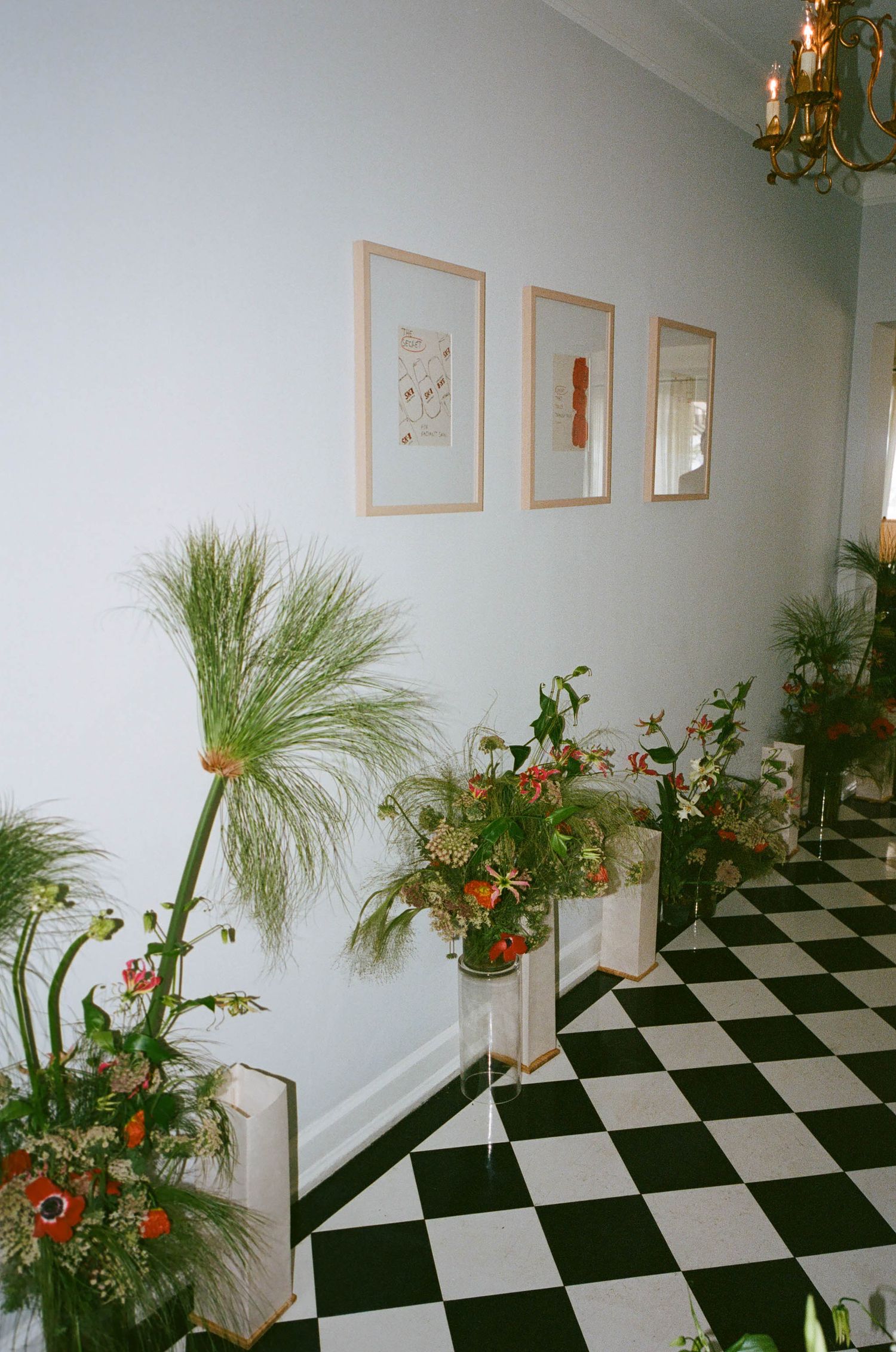 Elegant hallway with black and white checkered floor and decorative plants along the sides.