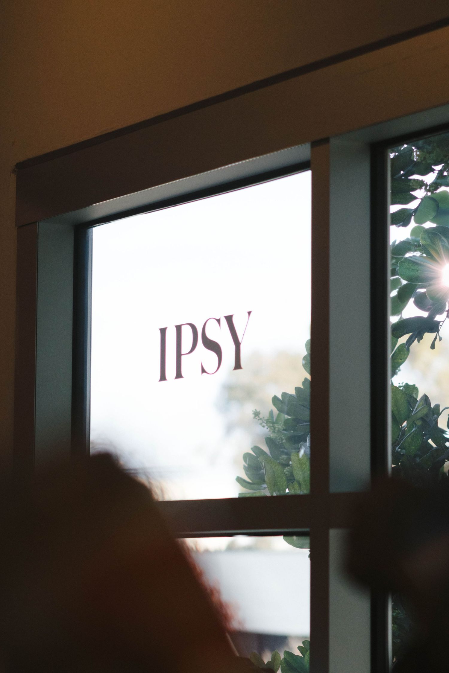 Row of windows with PSY text visible through glass panes.