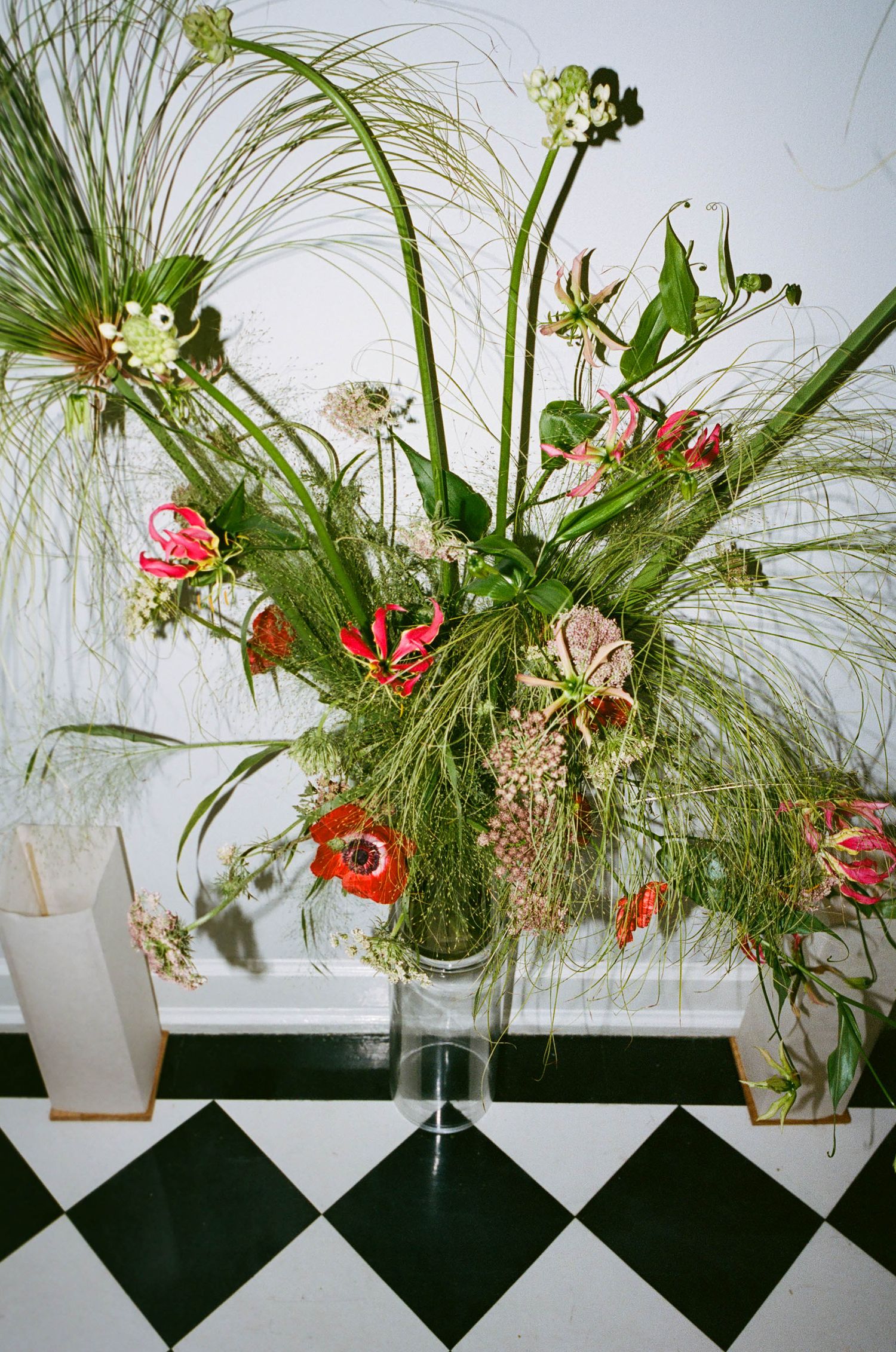 Floral arrangement with tall grasses and red flowers displayed against a white wall.