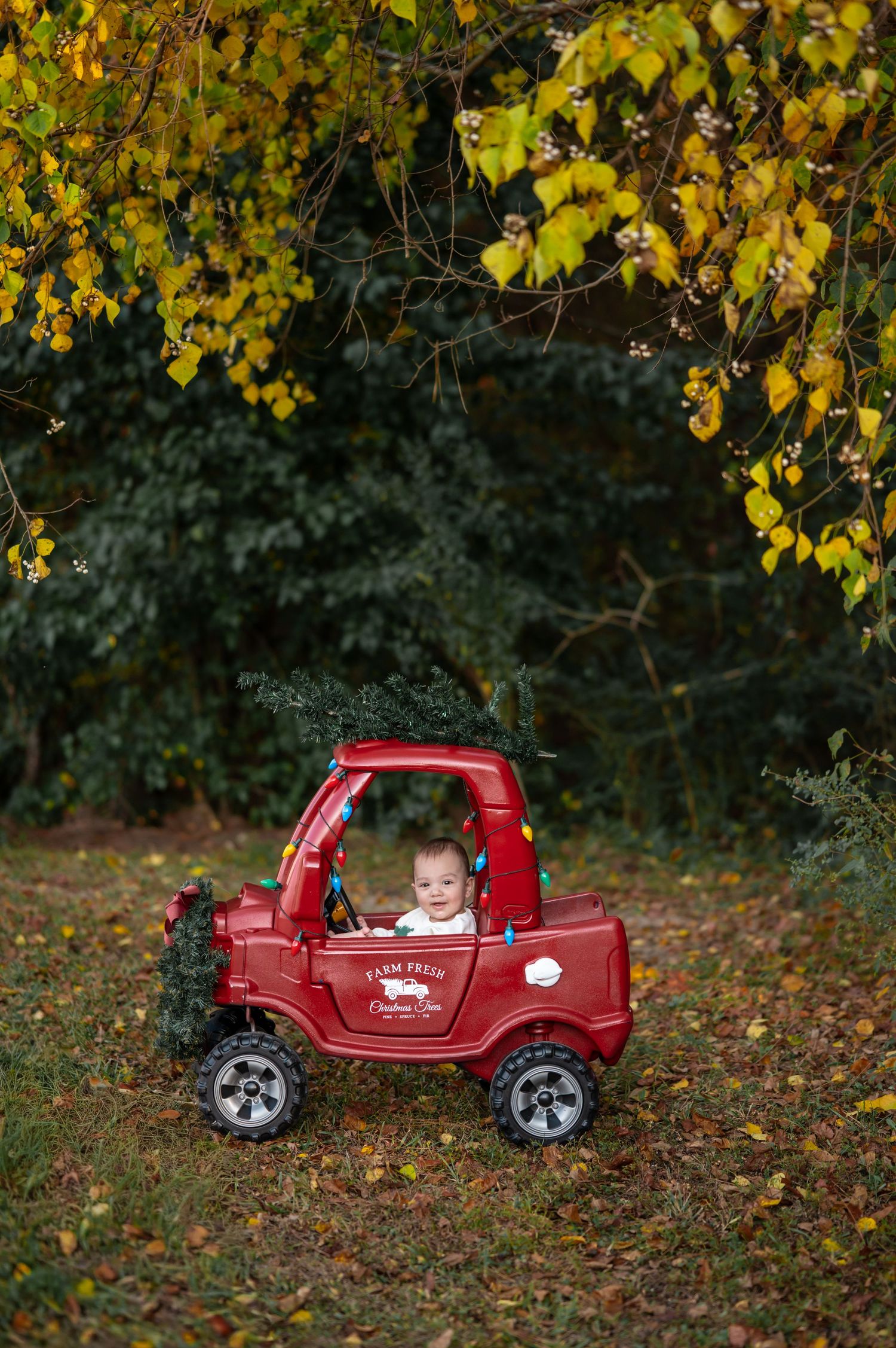 Kids Christmas car portrait in a festive outdoor setting. Holiday photography in Macon, GA by C + F Photography.