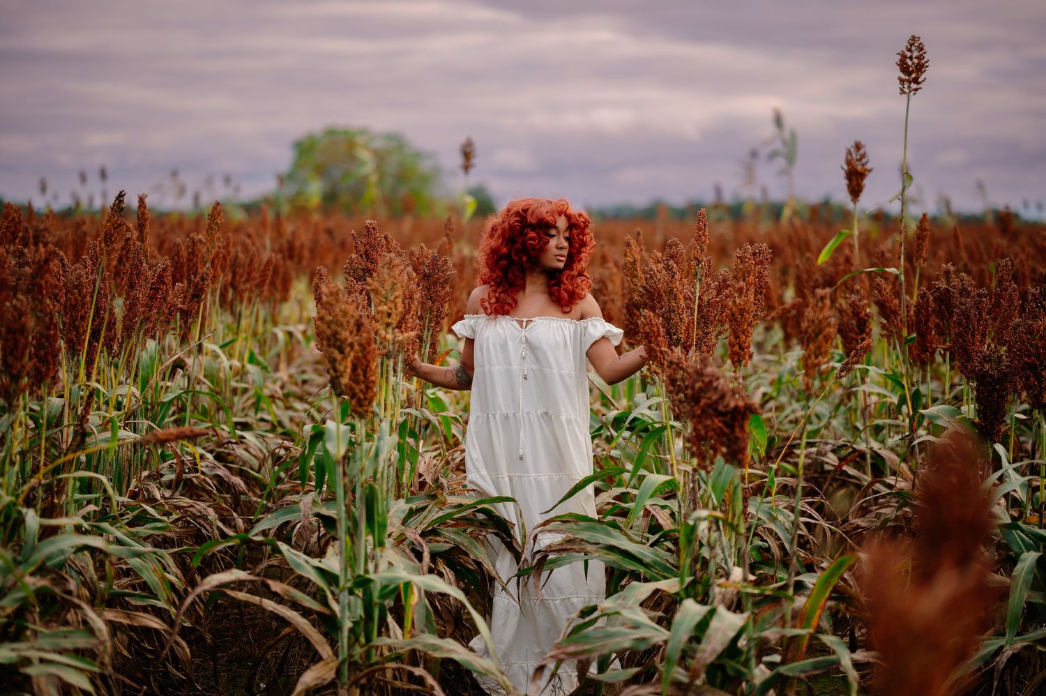 Woman with red curly hair in a white dress in a sorghum field. Authentic portrait in Warner Robins, GA by C + F Photography.