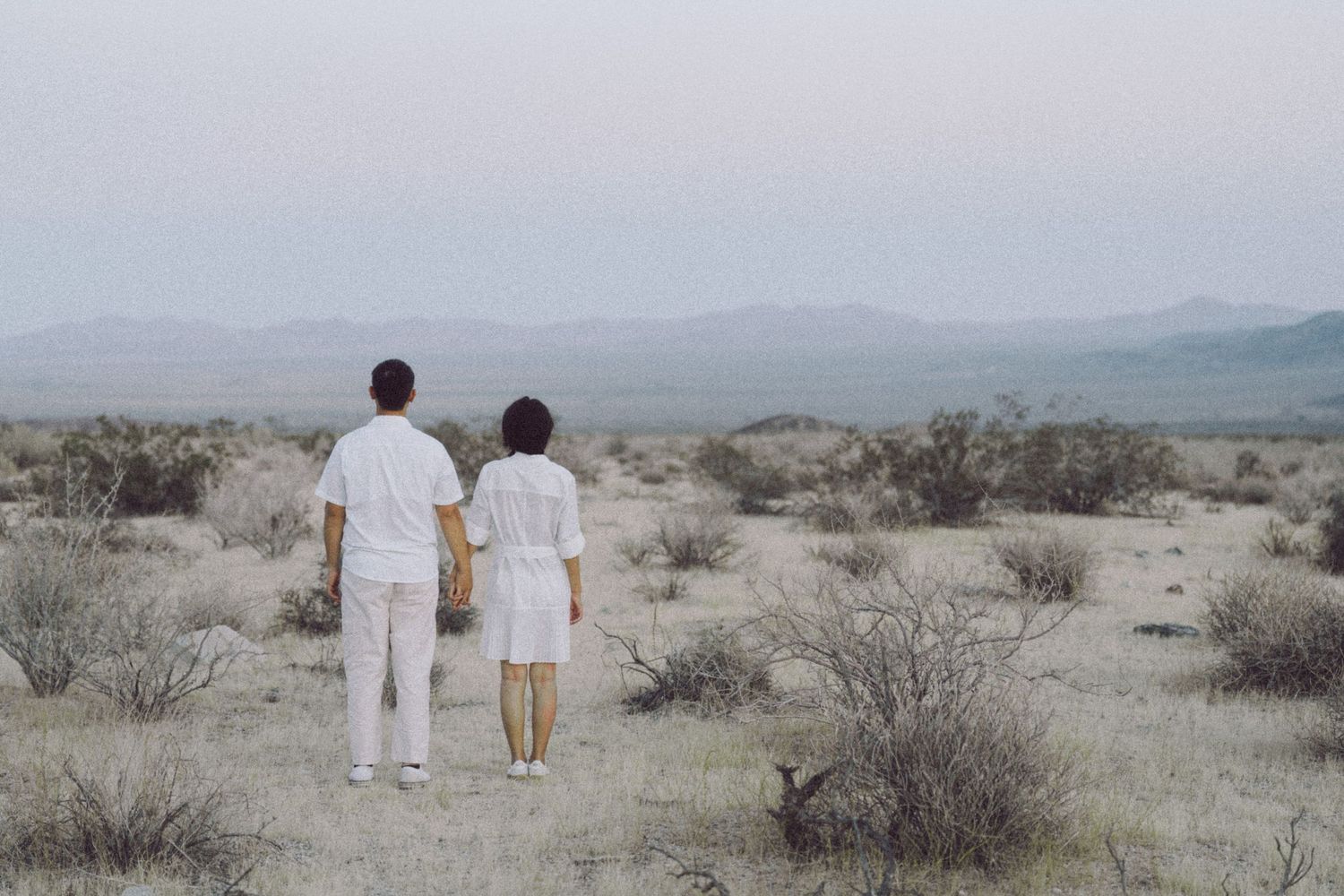 Asian couple standing in Joshua Tree National Park in a soft, film-inspired style; San Francisco Bay Area; Mandarin, Cantonese, English.