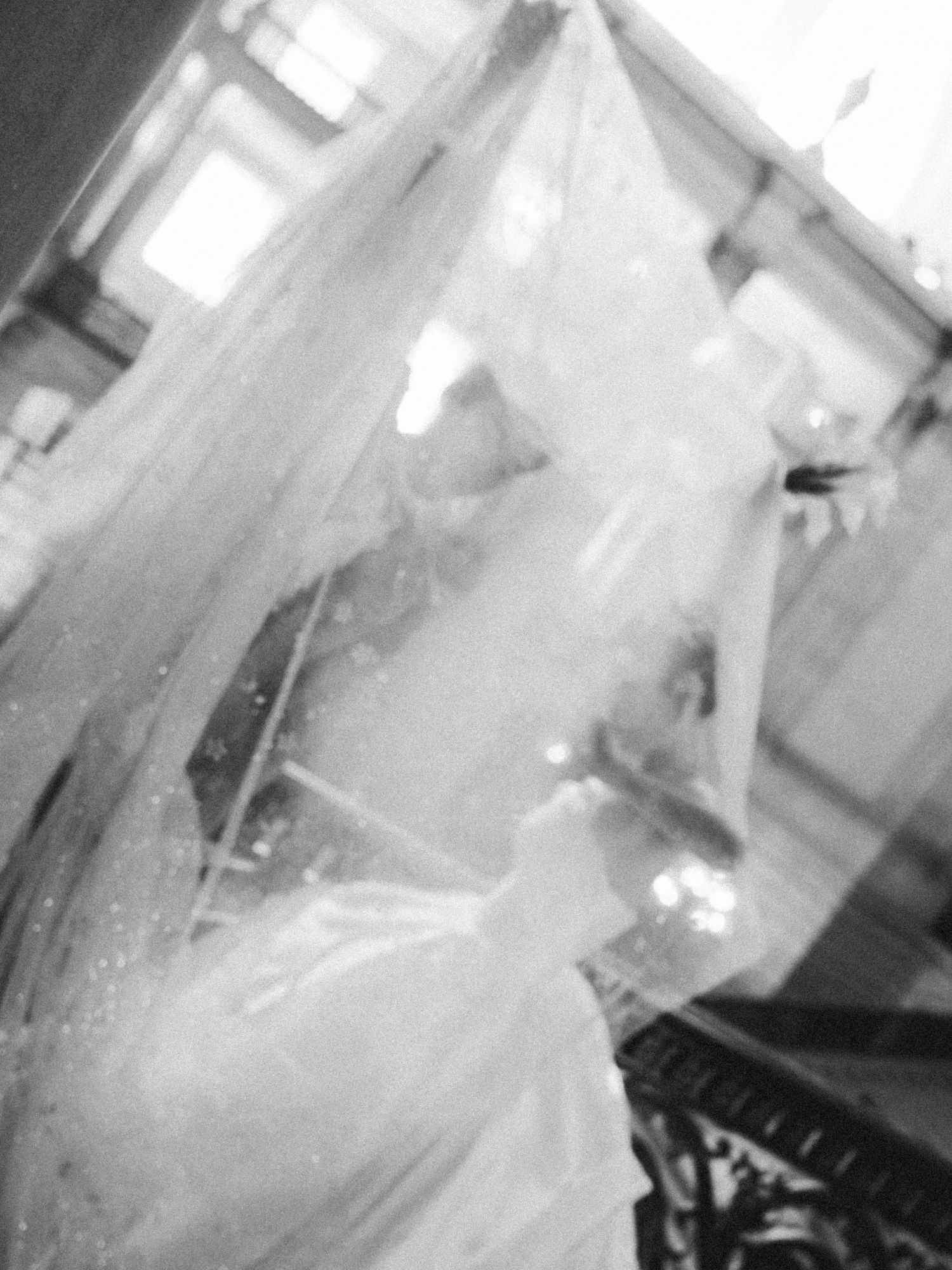 Bride under a flowing veil in soft indoor light in a film-inspired style; San Francisco Bay Area; Mandarin, Cantonese, English.