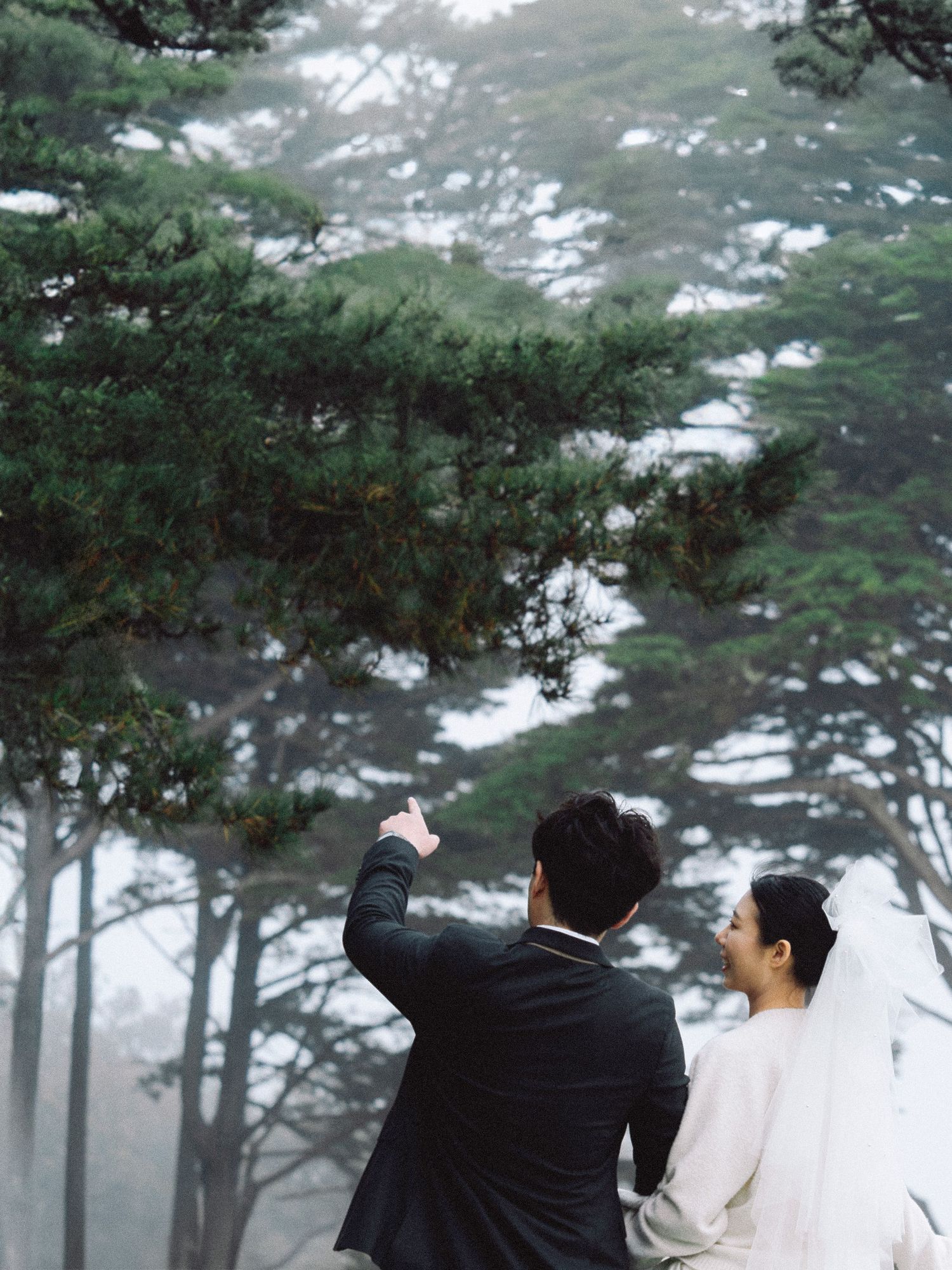 Asian couple in wedding attire under foggy trees near the Legion of Honor in the San Francisco Bay Area; film-inspired; Mandarin, Cantonese,