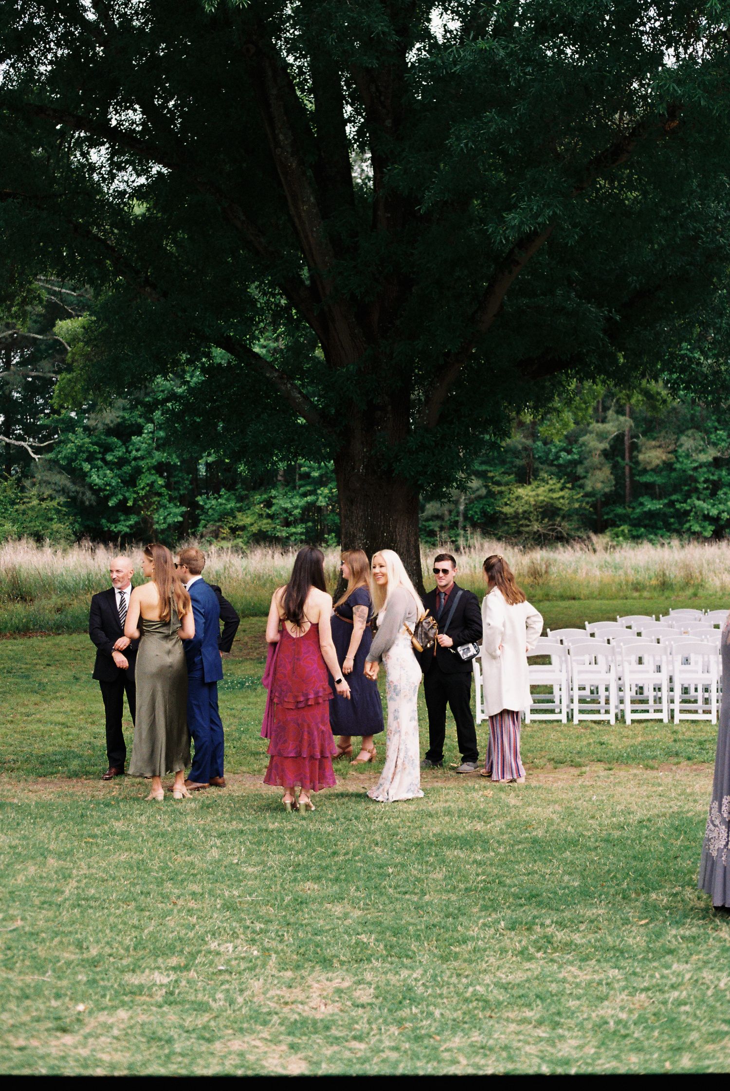 Wedding guests mingling on a green lawn beneath a large oak tree beside white chairs at an outdoor ceremony venue.