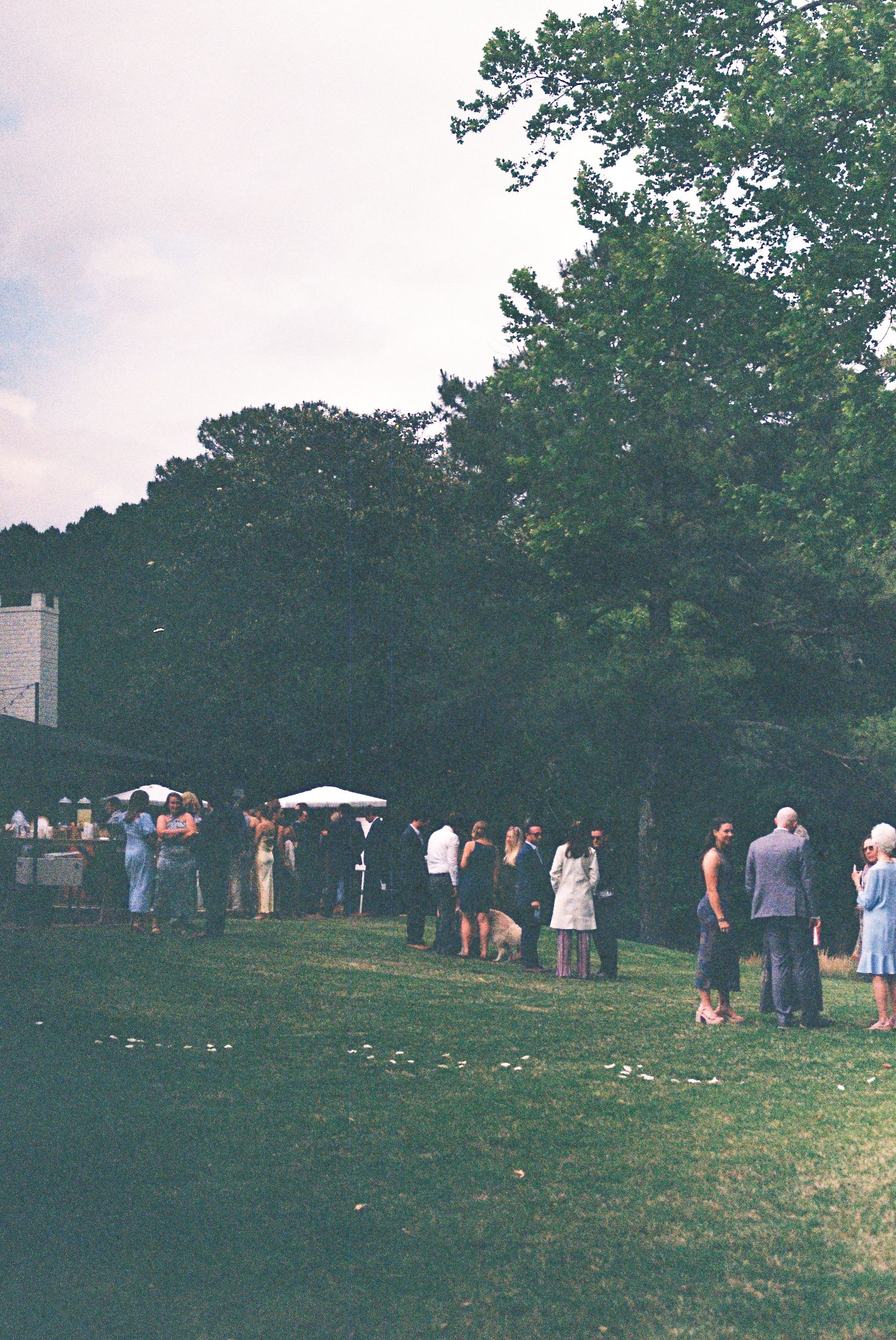 Guests gathering outdoors on green lawn near white tents and trees at an elegant garden party or wedding reception.