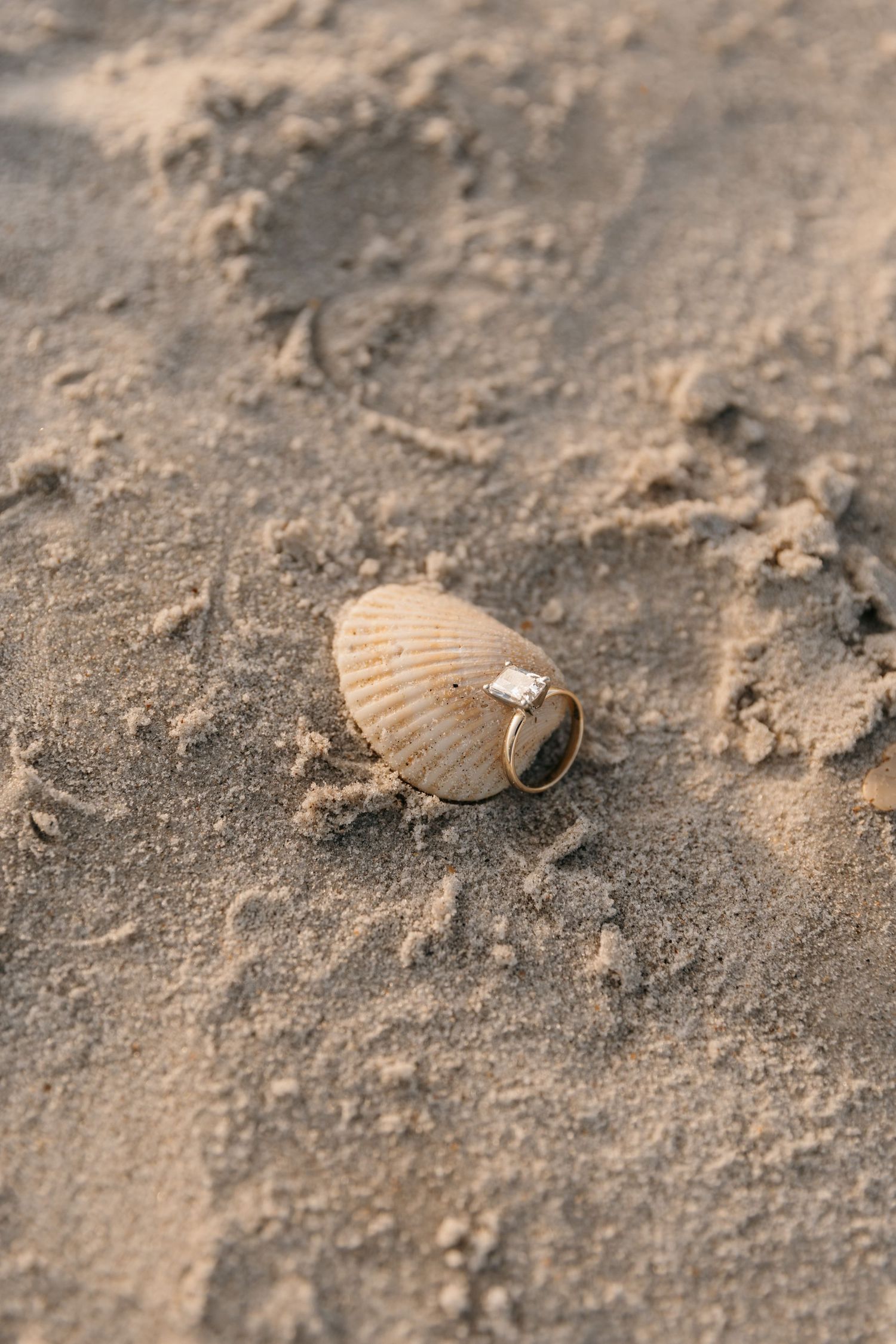 Ring detail shot on a seashell lying on sand.