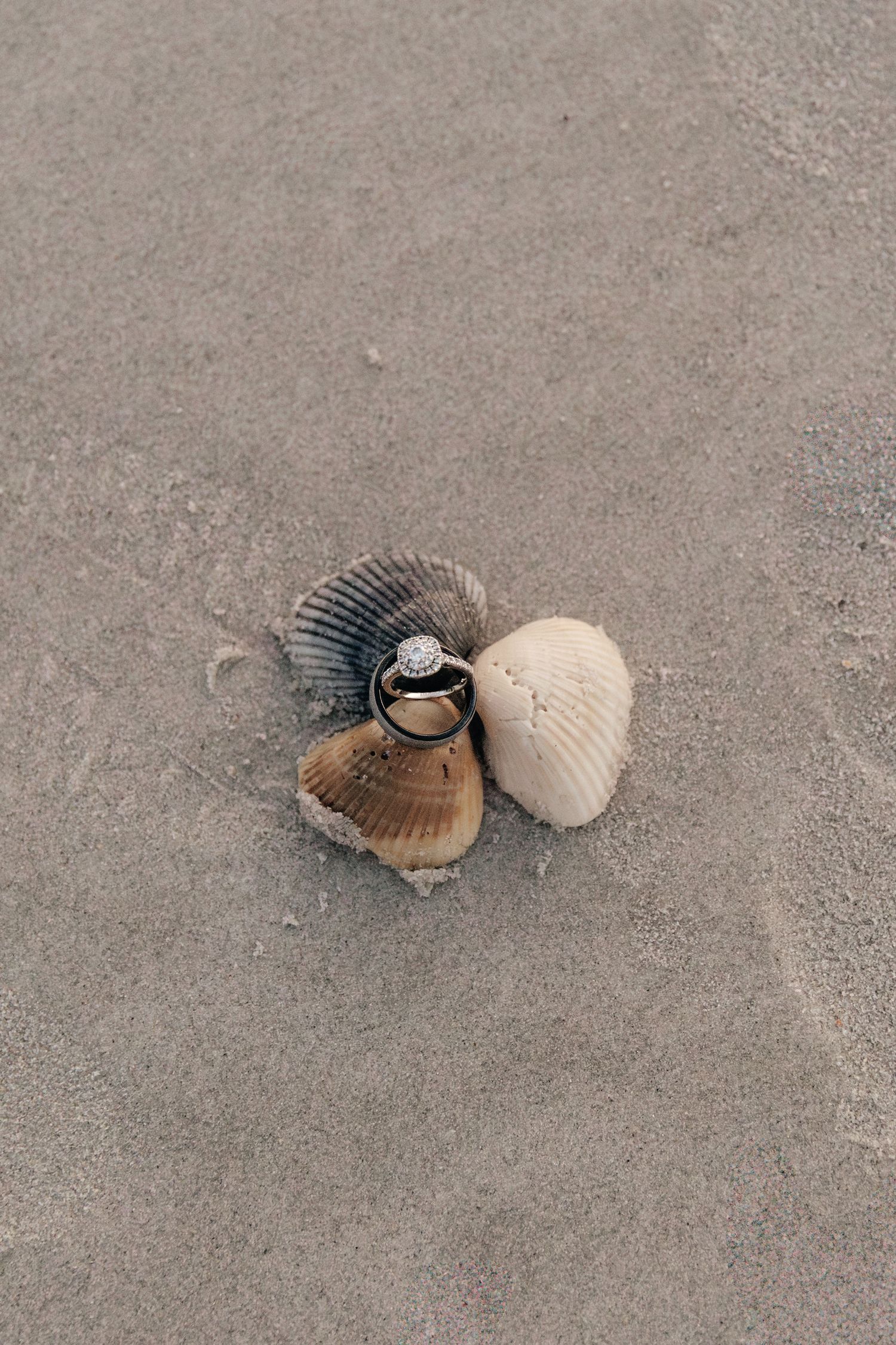 Elegant ring detail shot within seashells scattered on sand at the beach creating a timeless coastal wedding display.