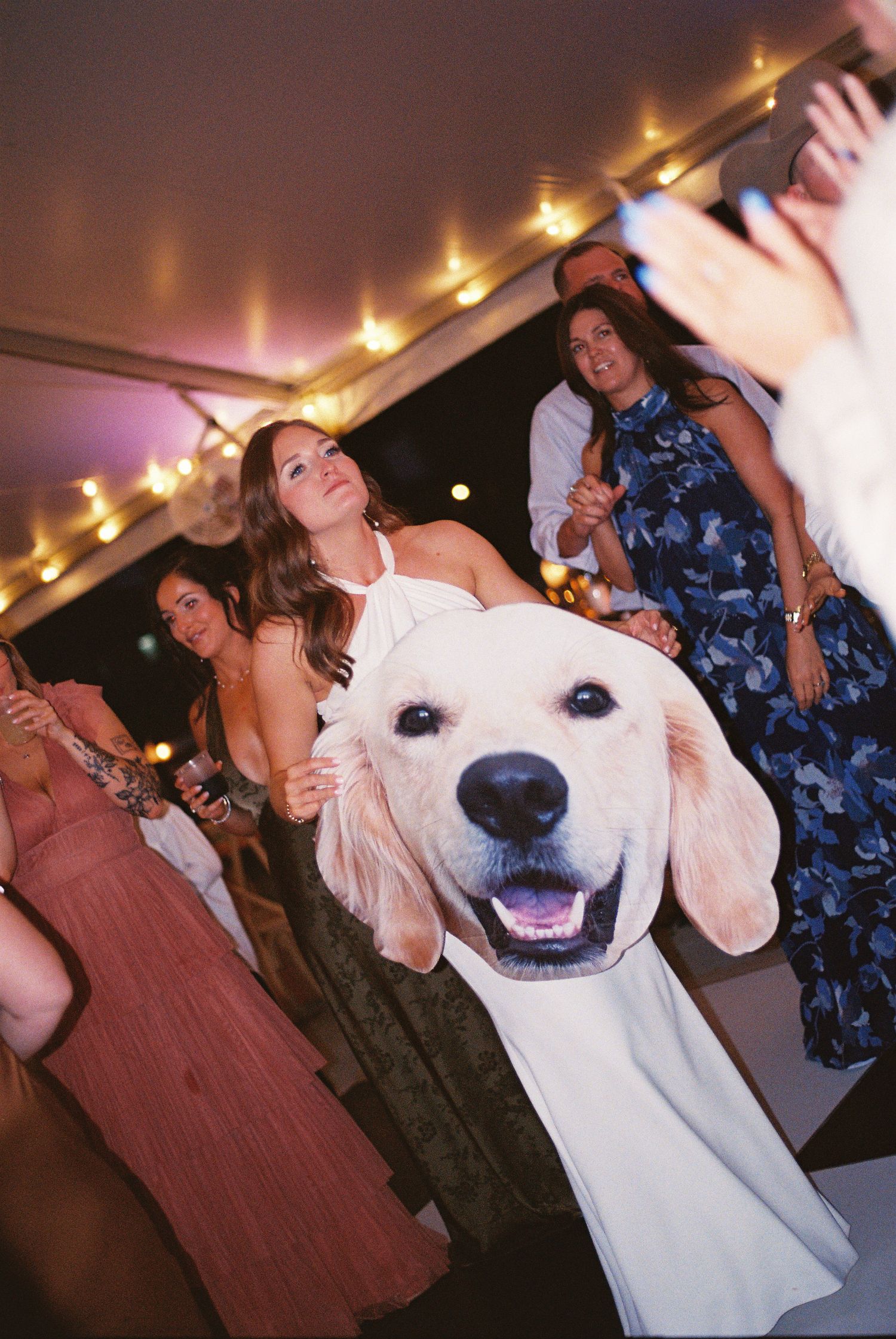 Guests dance at a wedding reception under string lights, holding a large cutout of a smiling golden retriever dog.