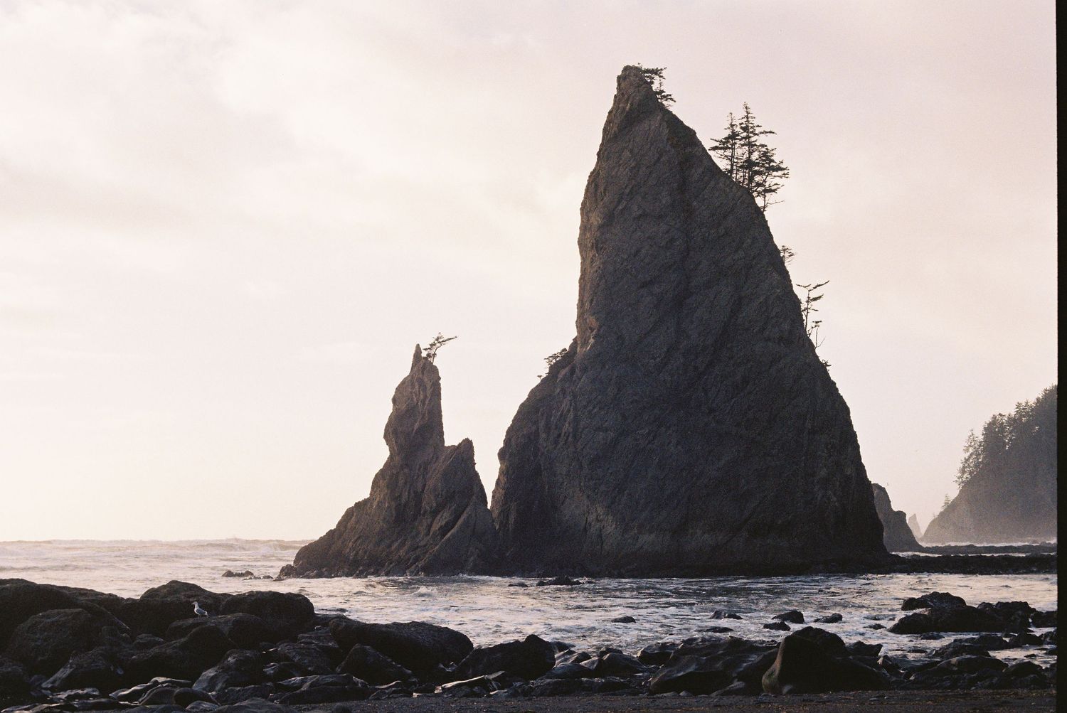 Dramatic sea stacks rise from the misty Pacific Ocean along a rugged coastline with crashing waves at sunset.
