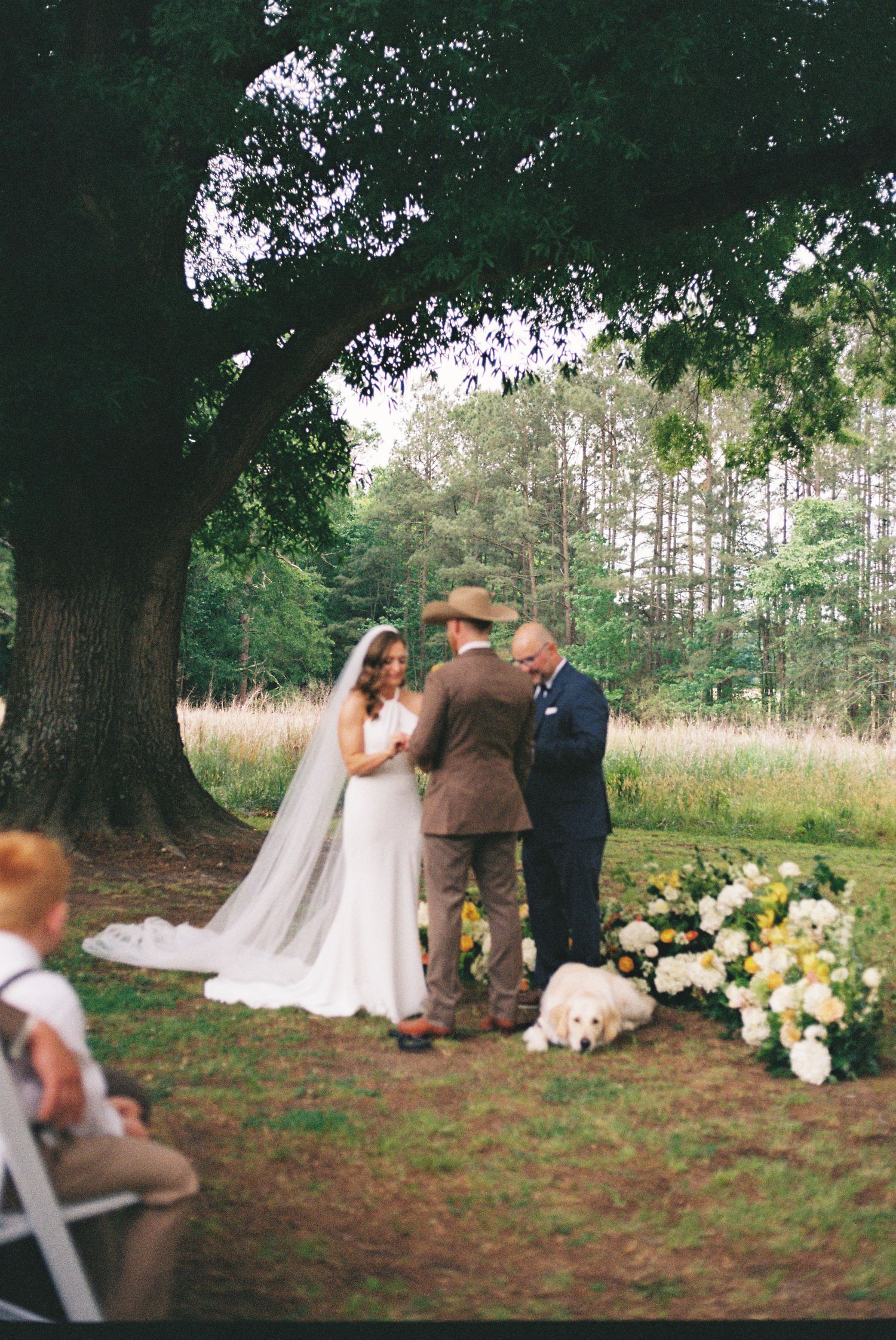 Outdoor wedding ceremony under a large tree with bride in white gown, groom in brown suit, and officiant in blue suit.