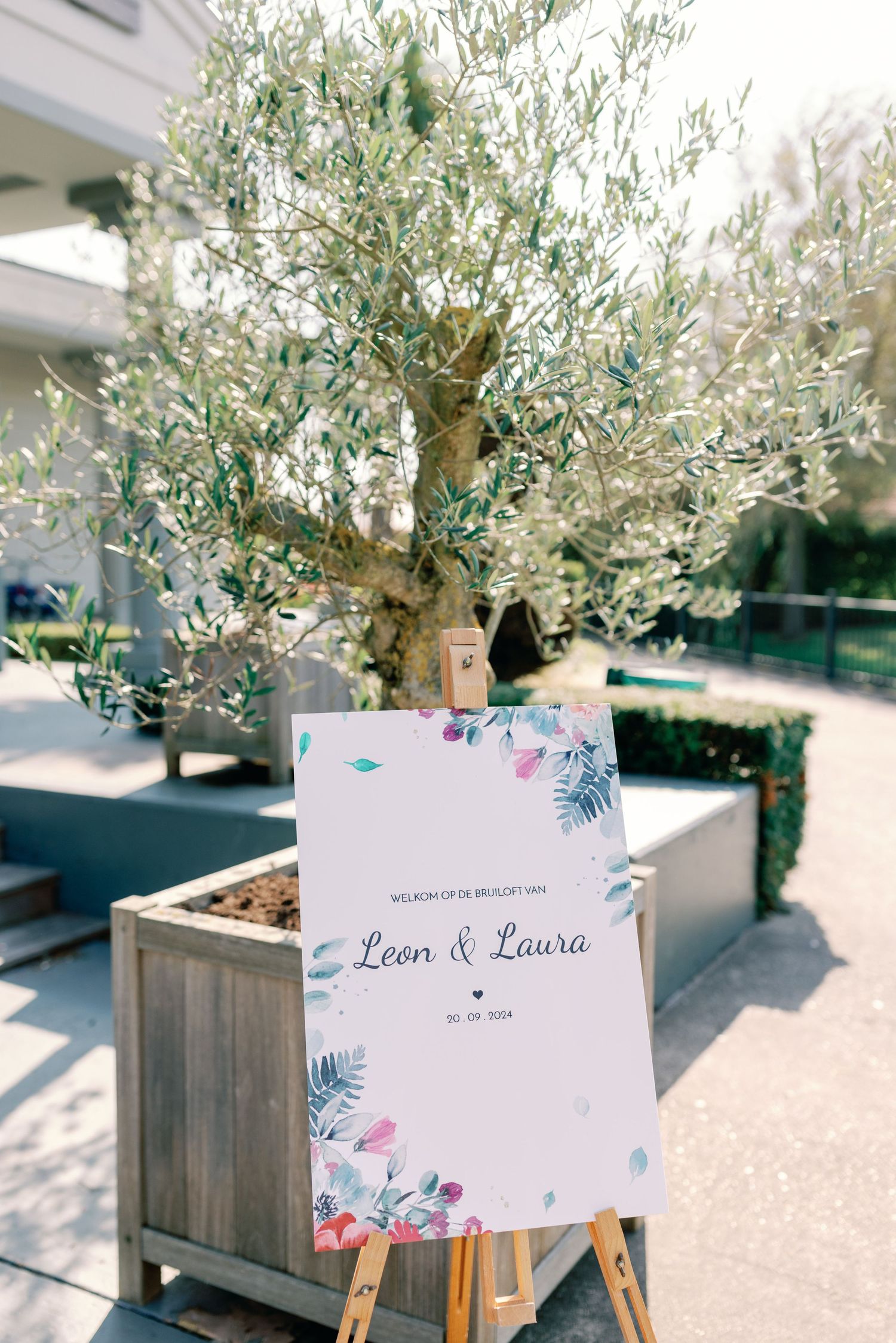 A wedding welcome sign displayed in front of an olive tree in a wooden planter.
