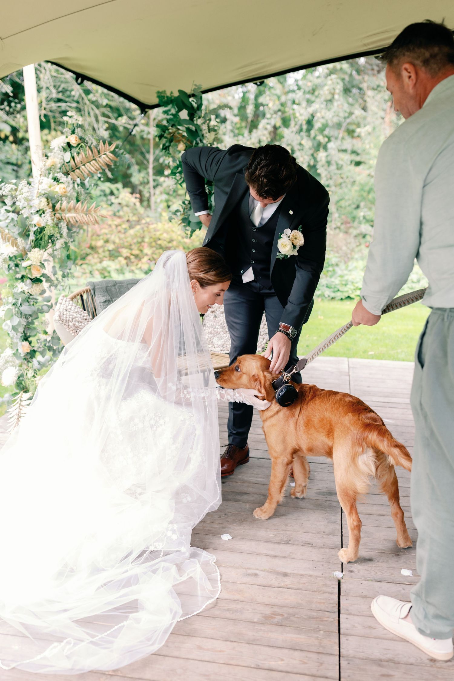 A dog in formal wedding attire interacts with people in a sequence of photos on a wooden deck.