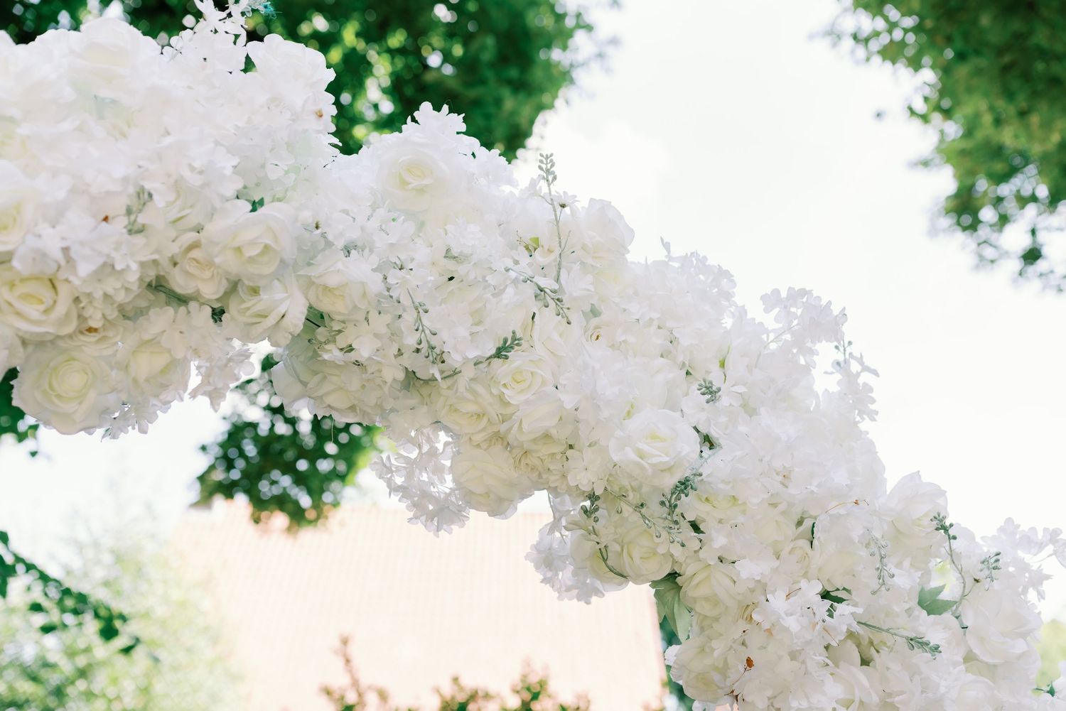 White hydrangea flowers bloom in clusters against lush green foliage in a summer garden.