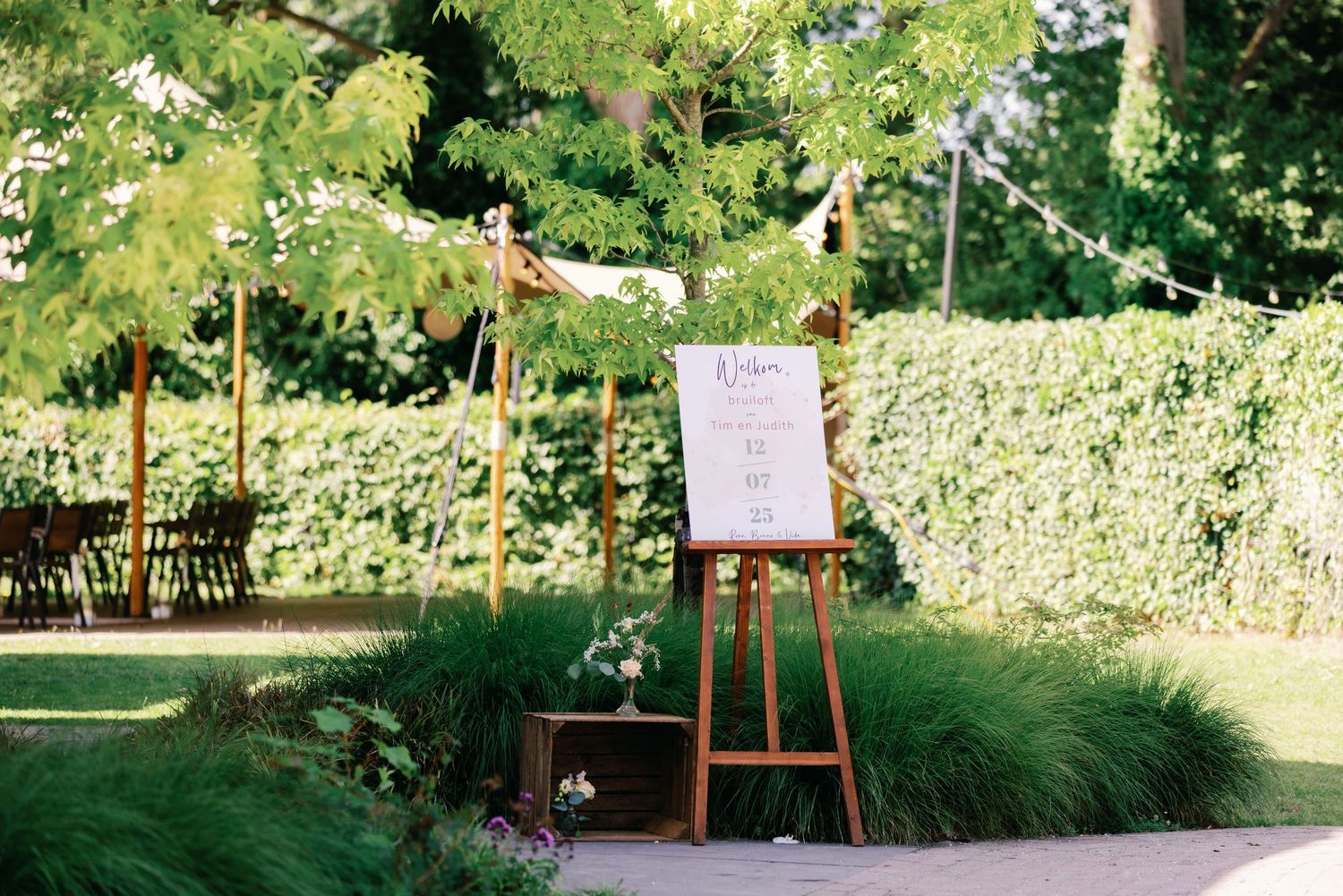 A wooden bench sits in a lush garden setting surrounded by green foliage and flowering plants.