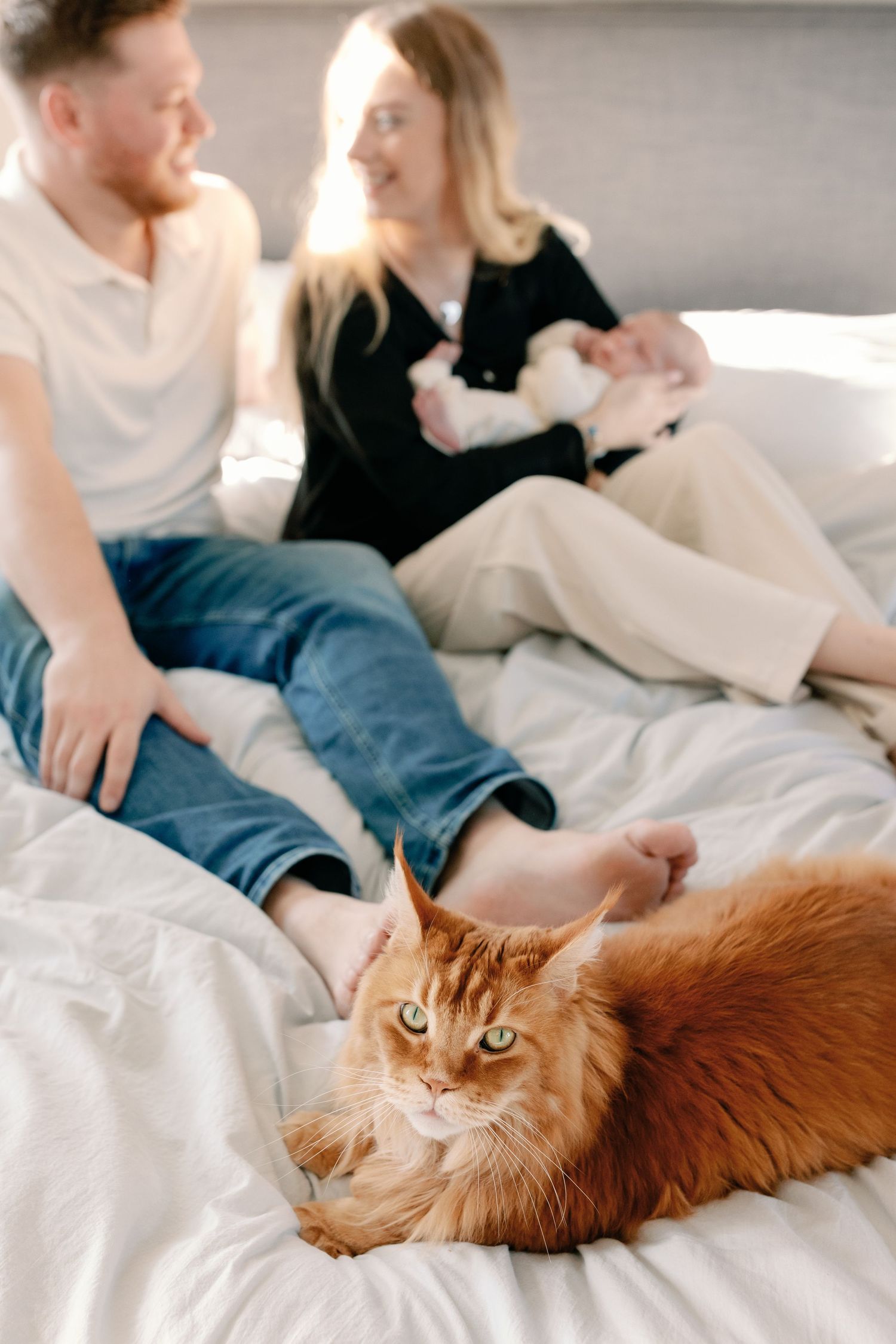 Orange cat lounges on white bedding while family relaxes in background.