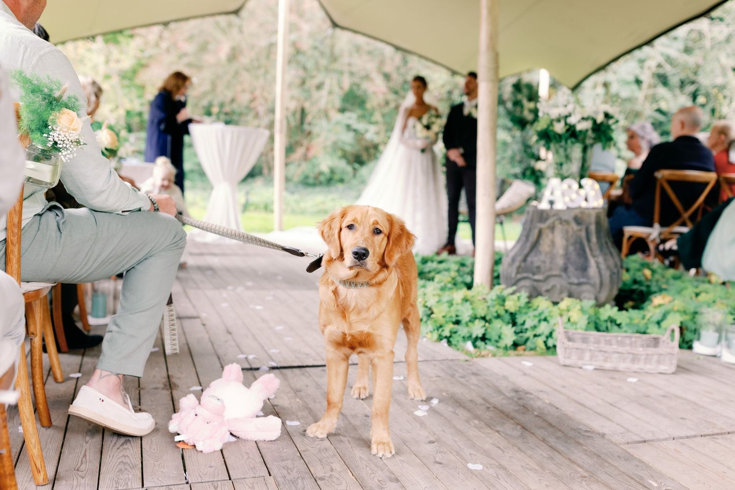 A golden retriever puppy sits patiently on a wooden porch while people gather in the background at an outdoor event.