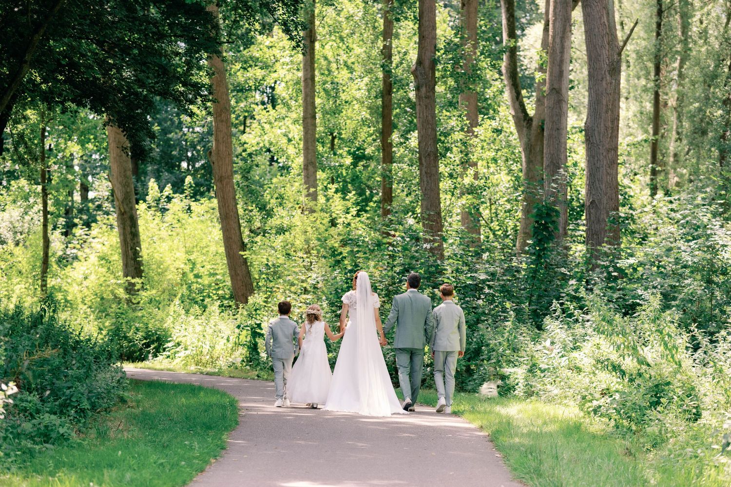 Wedding party walks down a sunlit forest path surrounded by lush green trees and foliage.