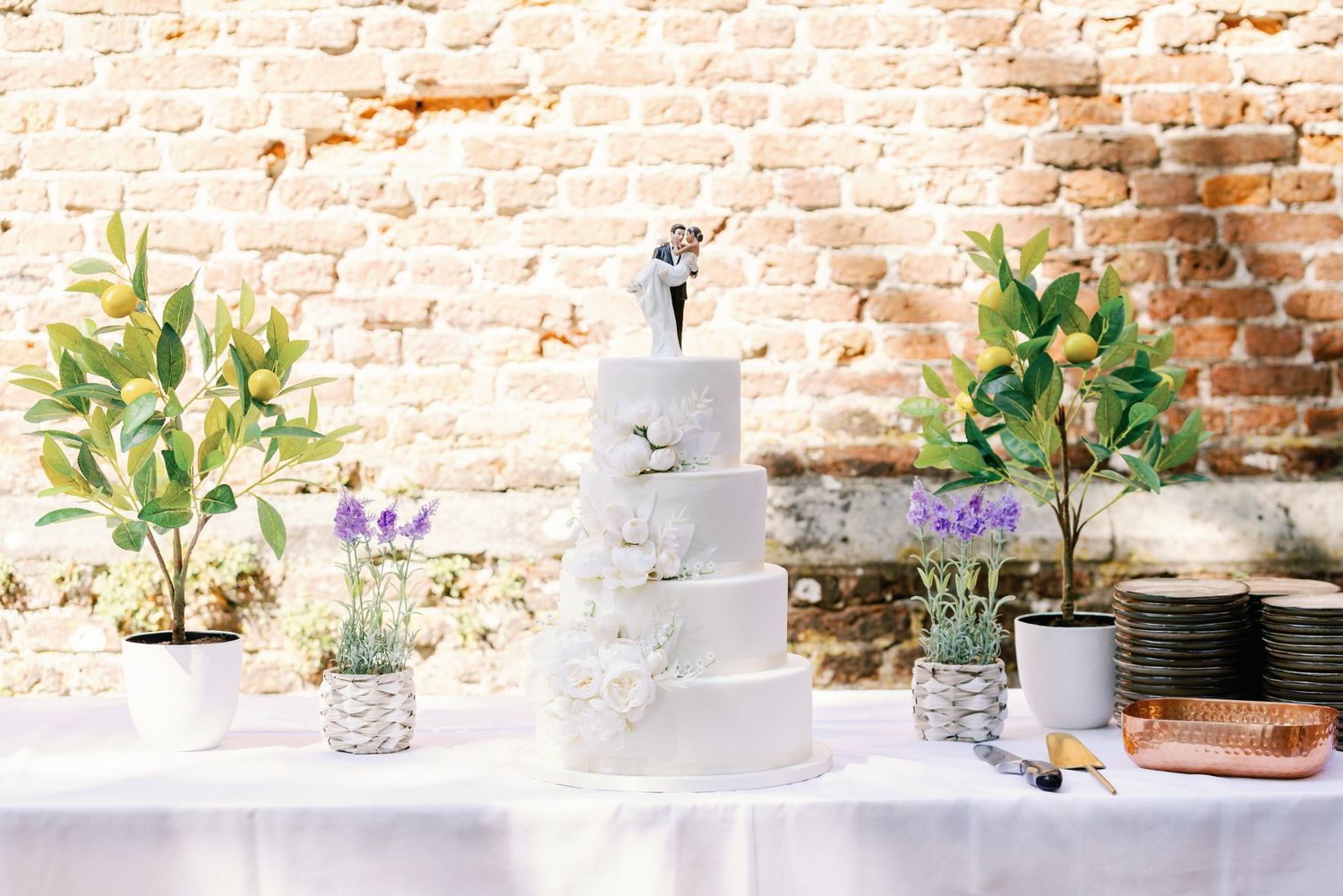 A collection of small potted plants and succulents arranged in a row against a rustic brick wall backdrop.