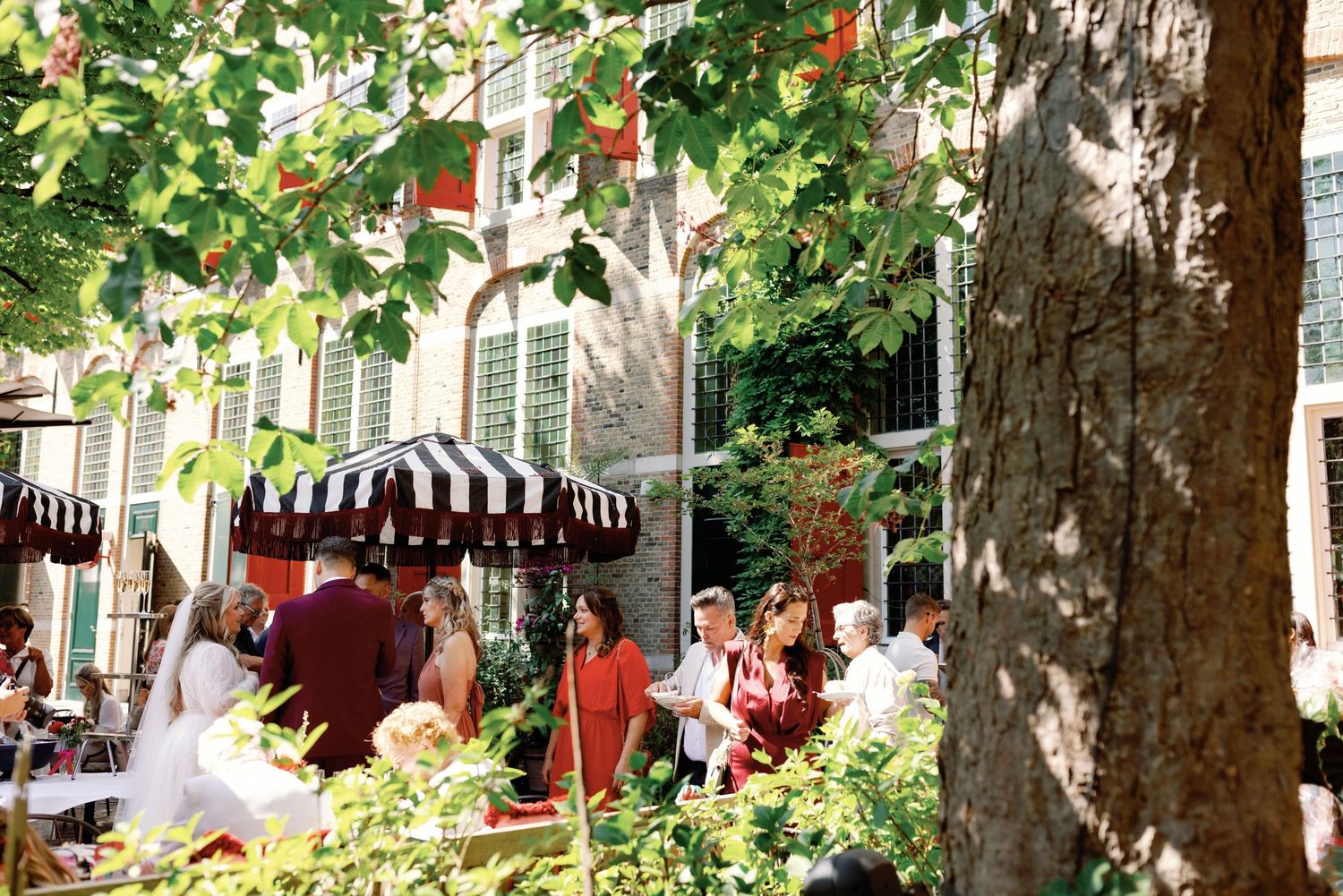 A lush green canopy of trees provides shade over a charming residential street with parked cars and brick buildings.