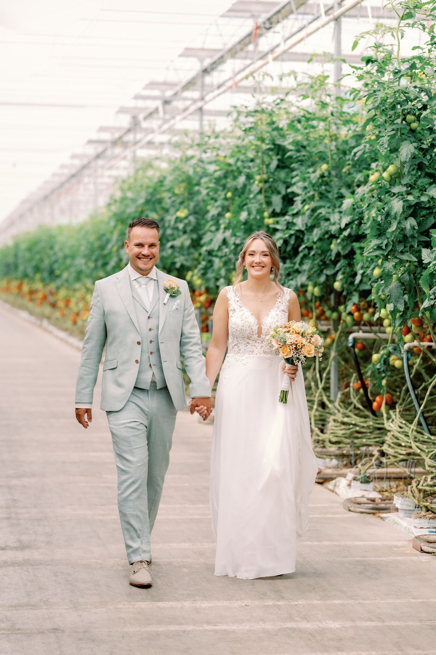 A couple in wedding attire walks hand in hand through a greenhouse filled with lush tomato plants and vines.