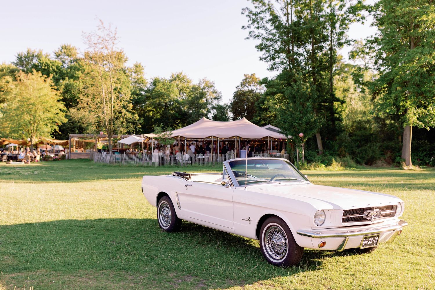 Classic white Ford Mustang convertible parked on grass lawn with event tent and trees in background.