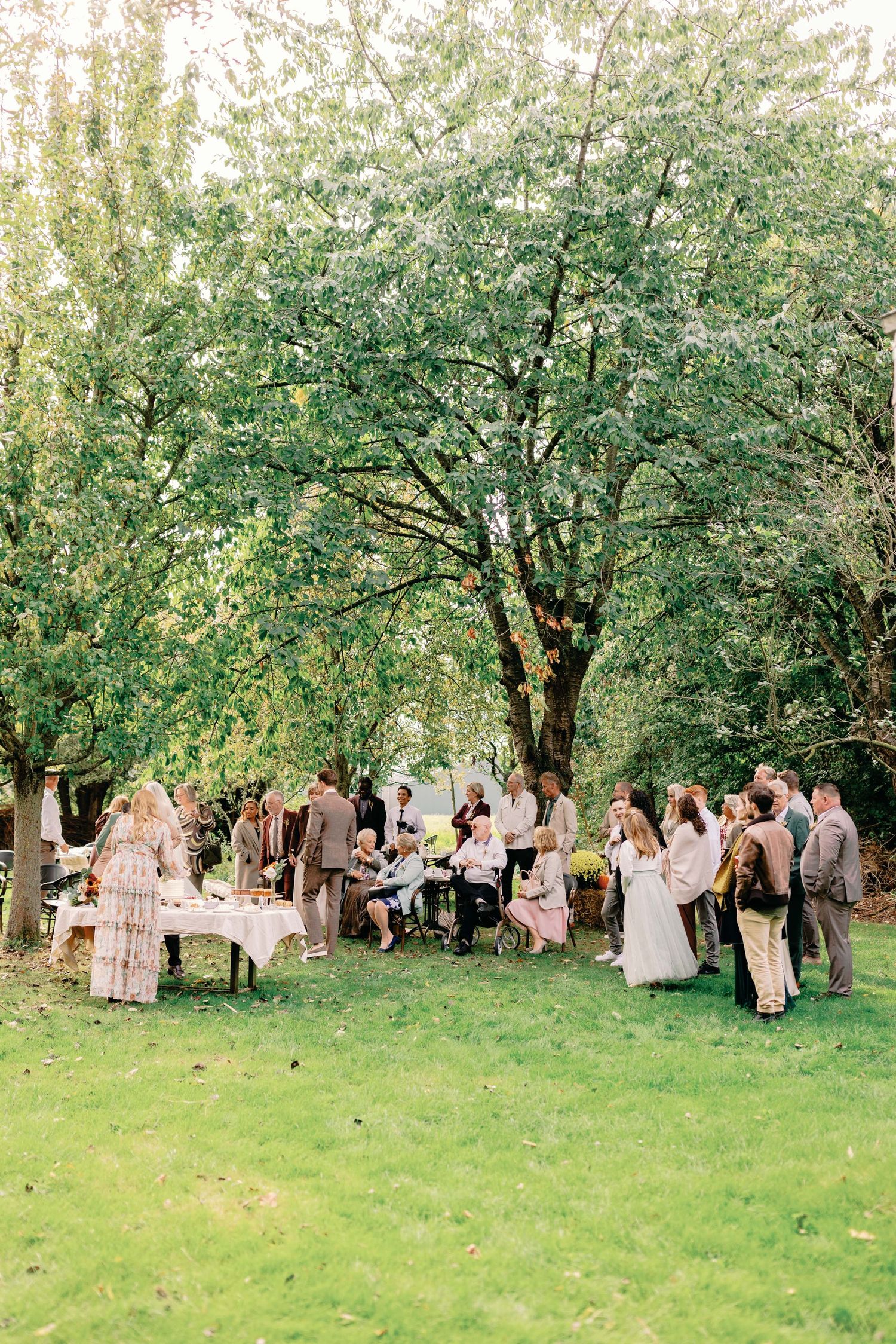 Wedding guests gather in a lush garden setting beneath green trees during an outdoor celebration.