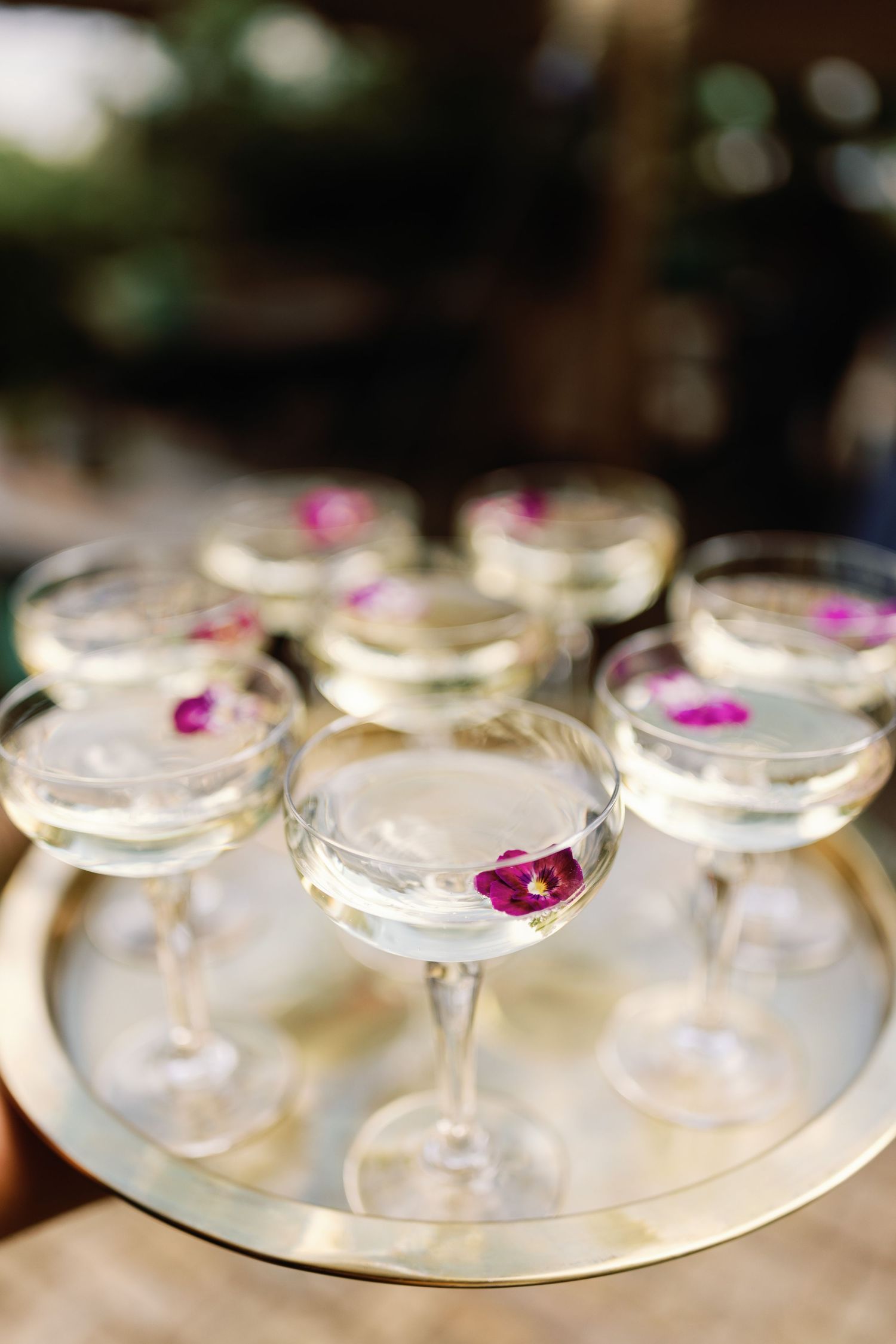 Row of elegant cocktail glasses with pink flower petals arranged for a special event.