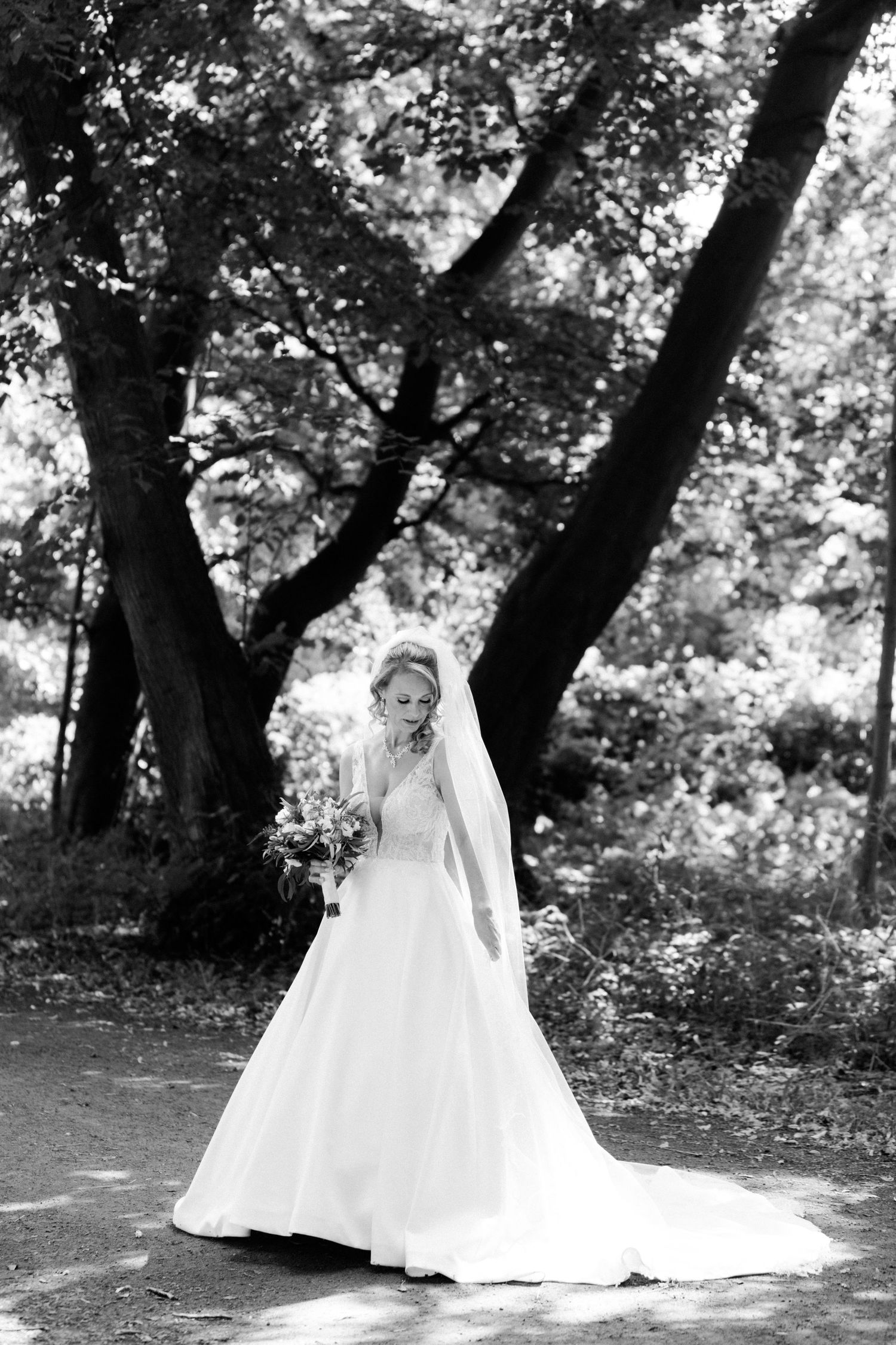 Elegant black and white bridal portrait showing a bride in a flowing gown beneath towering trees.
