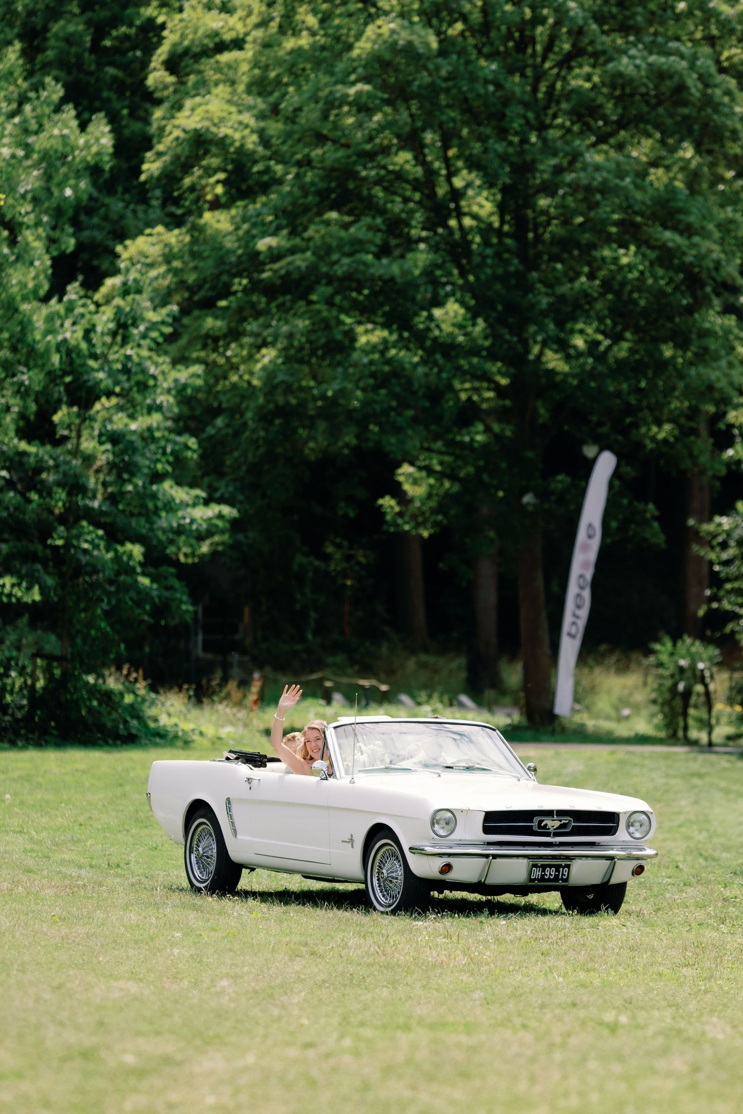 A classic white Ford Mustang convertible parked on a grassy field with trees in the background.