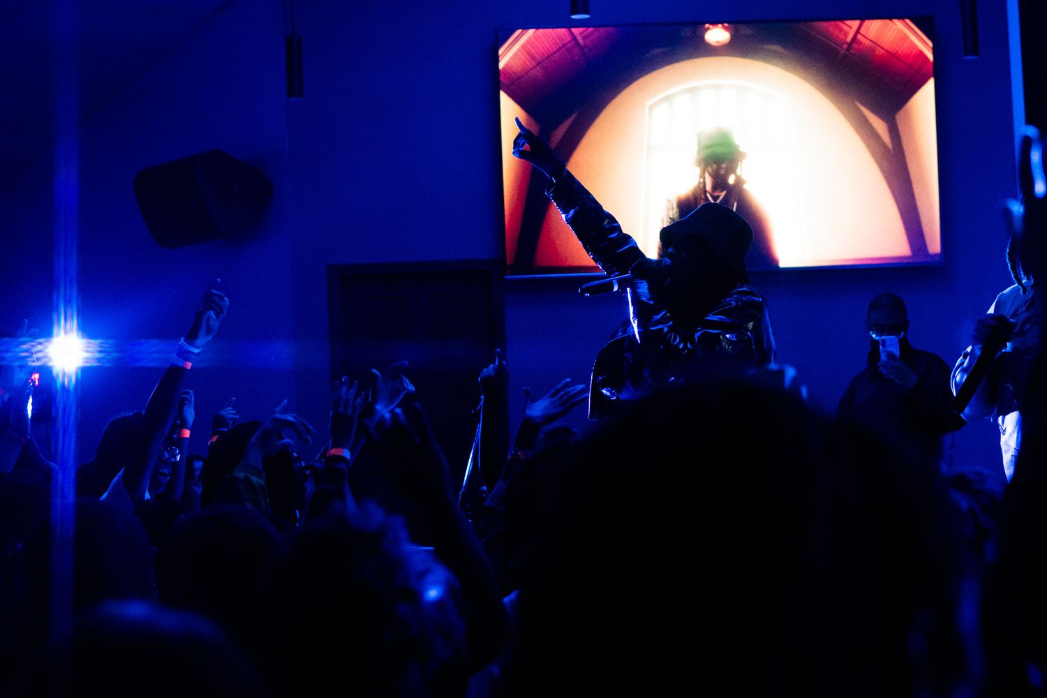Concert crowd silhouettes dance under blue stage lights during a nighttime performance.