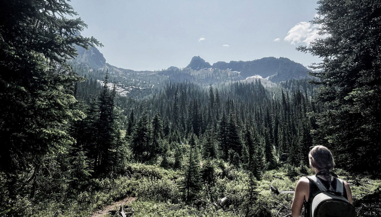 Scenic mountain landscape with evergreen forest and snow-capped peaks in the distance.