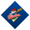 Logo Baseball Hamburg Steelers
