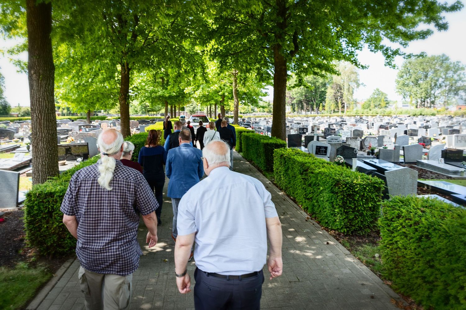 Group of elderly people walking along a tree-lined cemetery path on a sunny day.