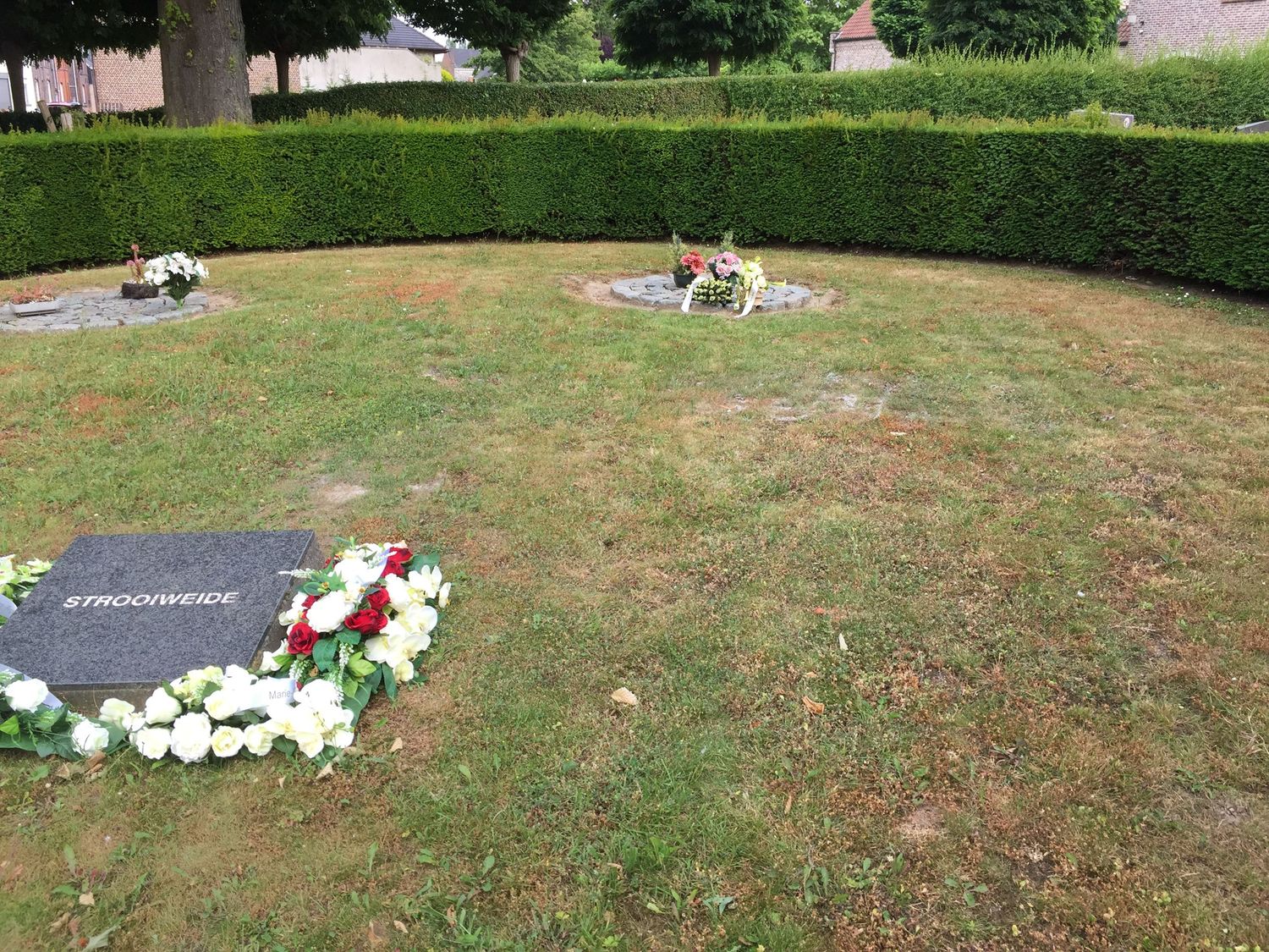 A serene cemetery with green hedges, grave markers, and floral wreaths on a sunny day.