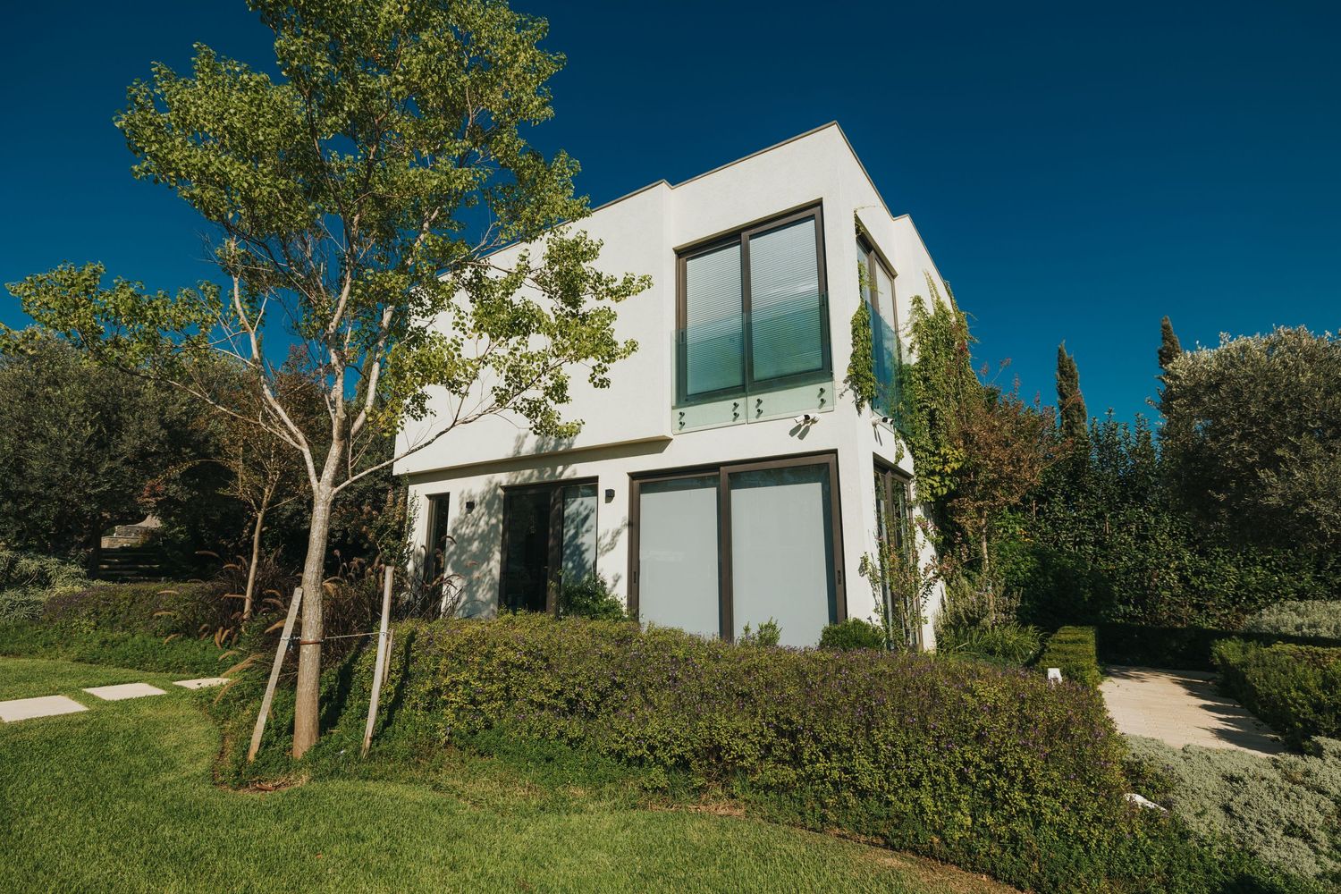 Contemporary white cubic villa with large windows and landscaped garden.