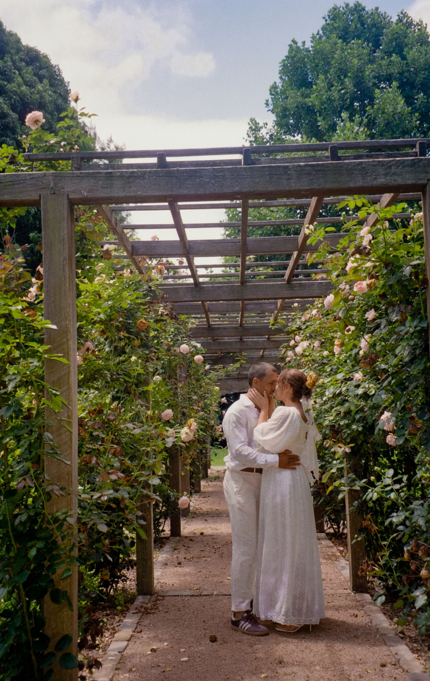A romantic dance sequence takes place beneath a wooden pergola surrounded by climbing roses.