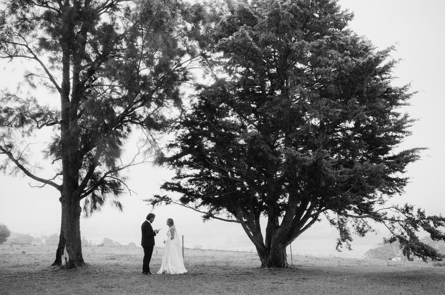 Silhouettes of trees frame a romantic outdoor wedding scene in black and white.