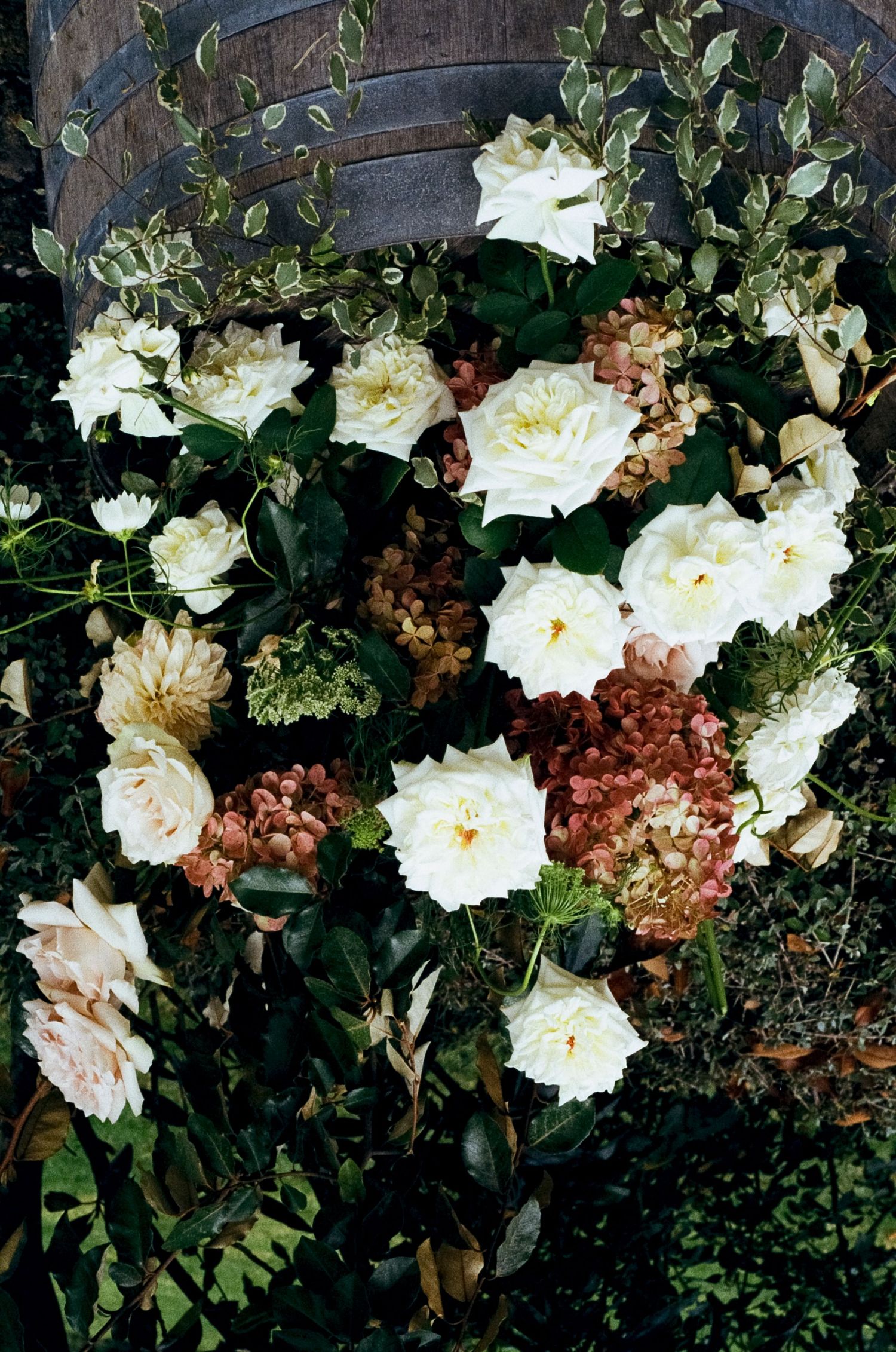 White roses and burgundy berries create a romantic floral arrangement against dark foliage in a garden setting.