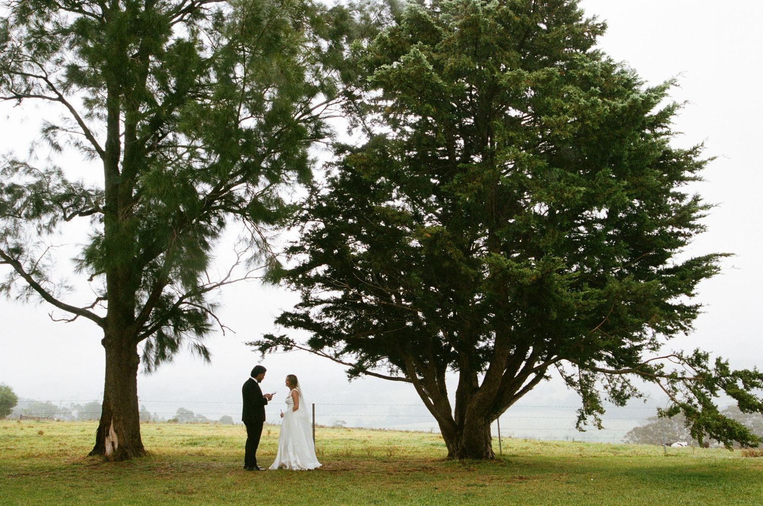 Silhouettes of trees frame an outdoor wedding scene on a rolling green hillside.