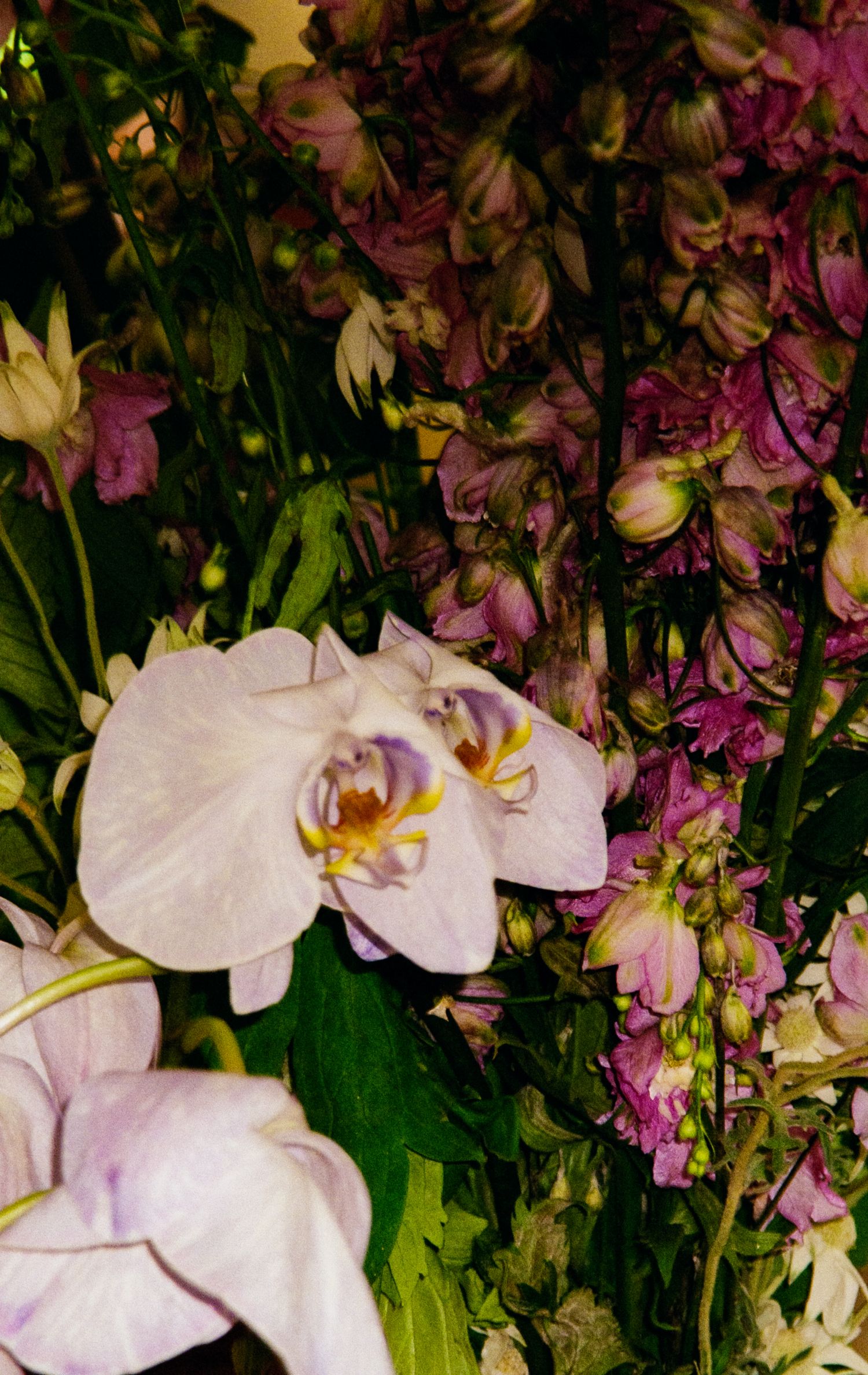 White orchids and pink flowers create an elegant floral arrangement against a dark background.