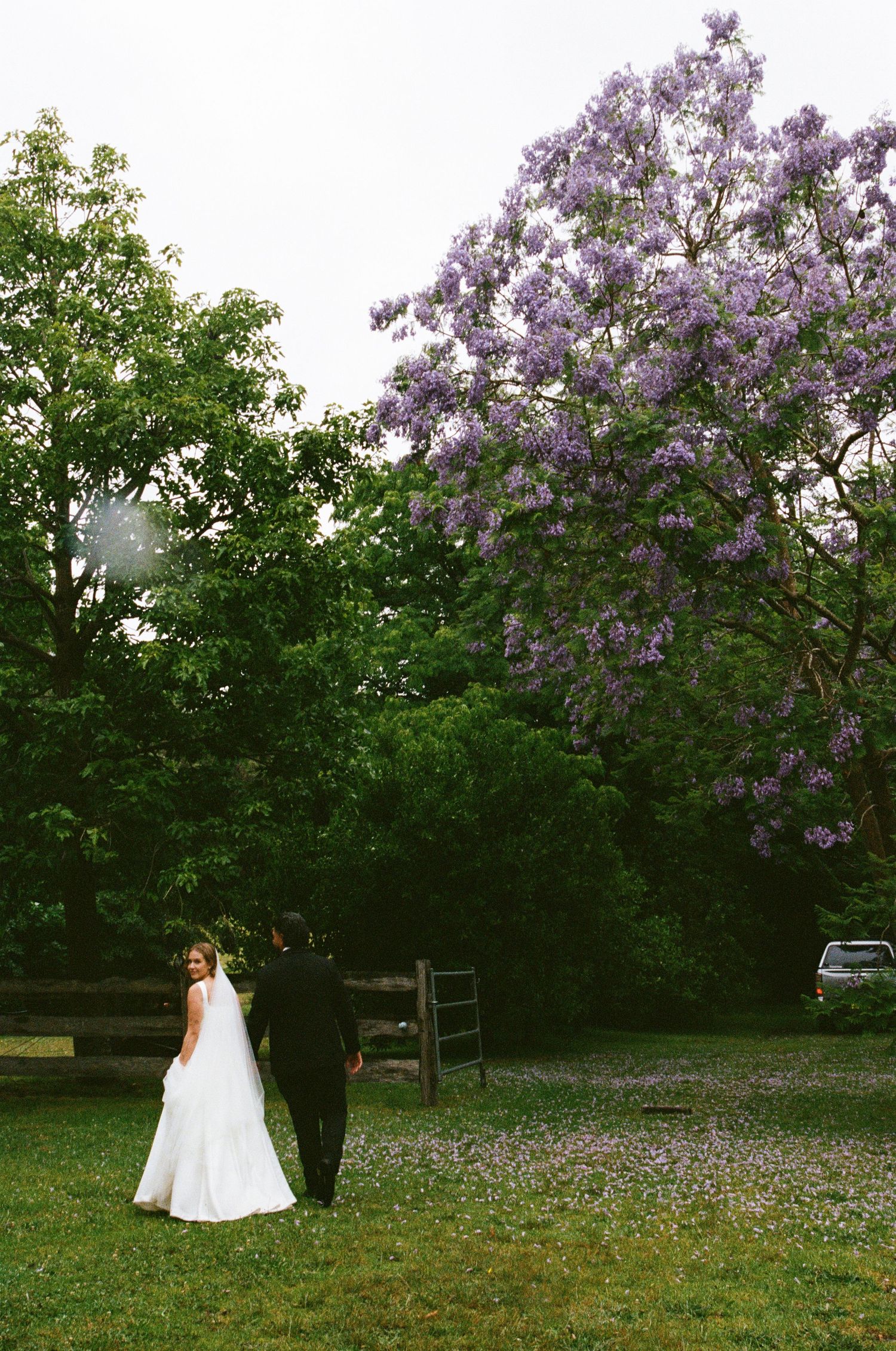 A scenic garden wedding setting with blooming purple lilac trees and lush green grass.