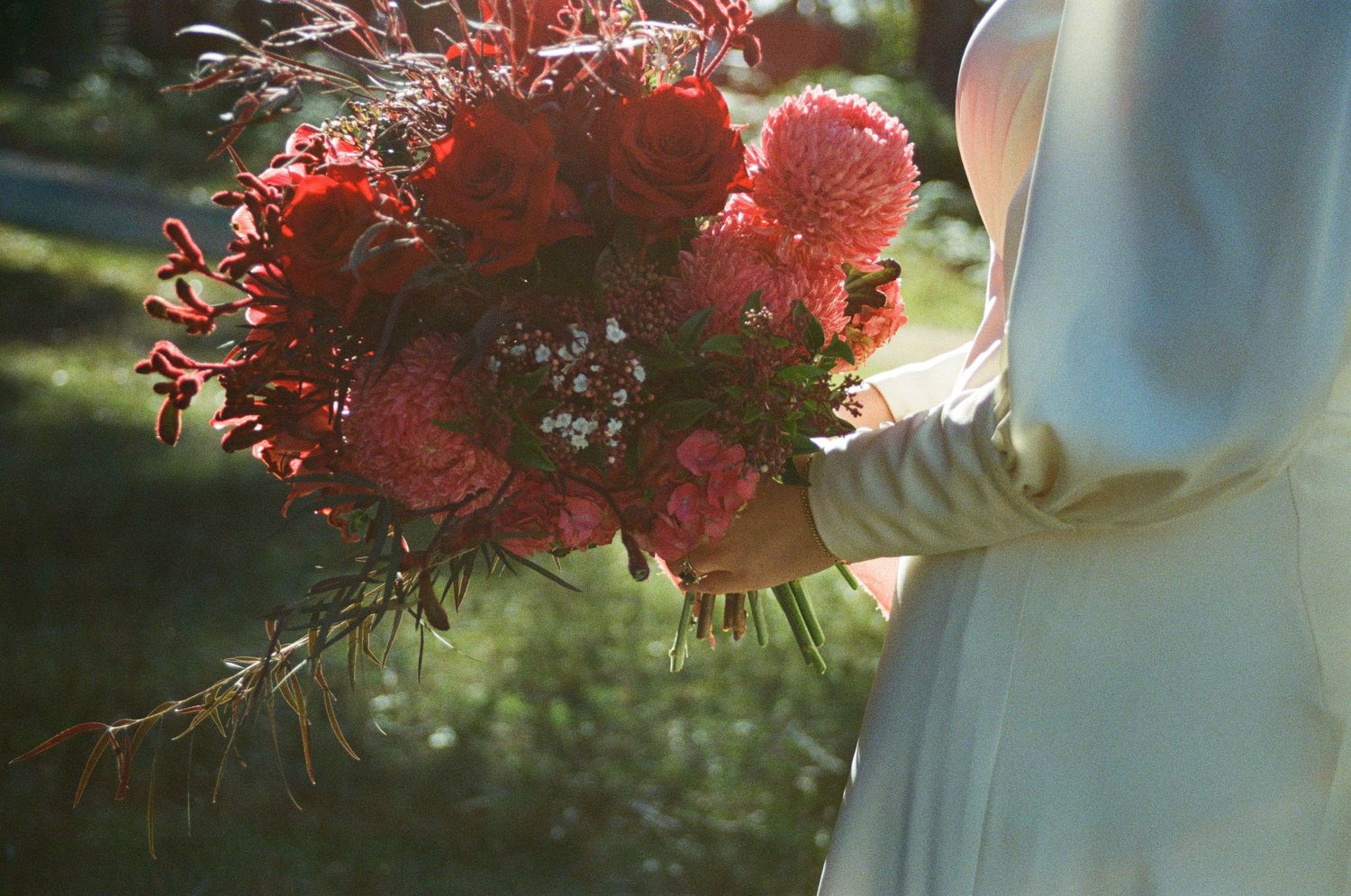 Red spider lilies bloom in a lush garden setting with soft natural lighting and blurred background.