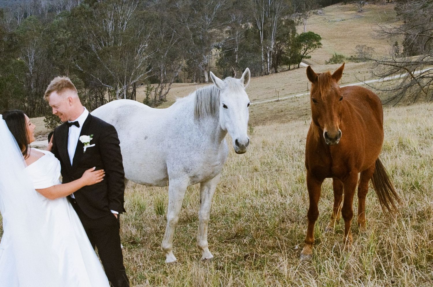 A couple in wedding attire standing in a field with a white and brown horse in the background.