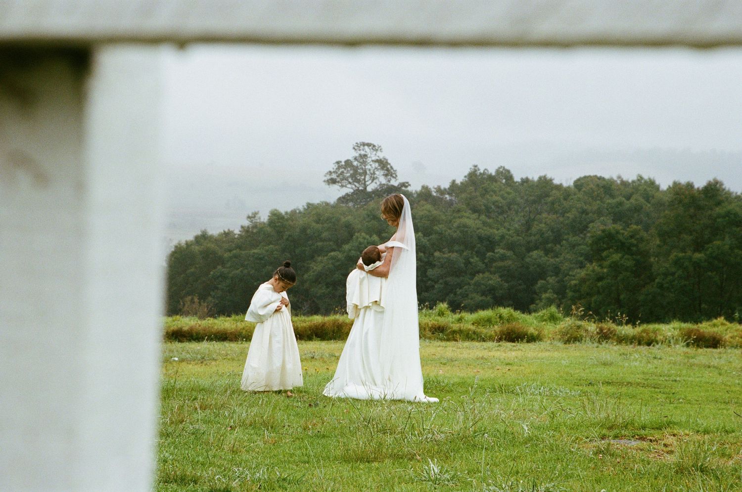 A misty wedding scene captured in an open field with distant trees.