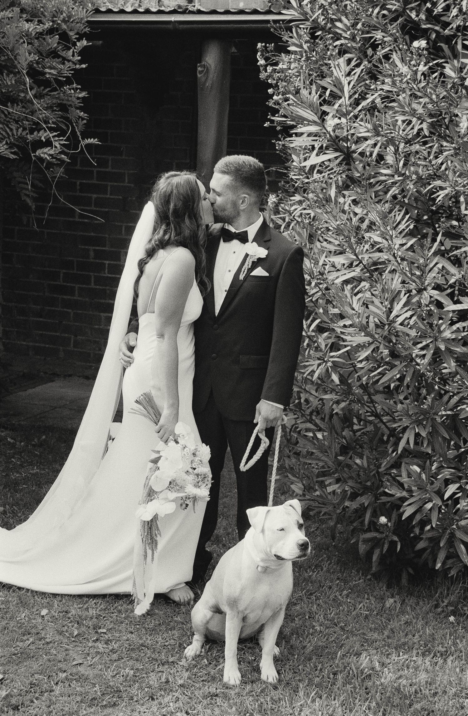 A black and white wedding photo featuring a couple in formal attire with their white dog in a garden setting.