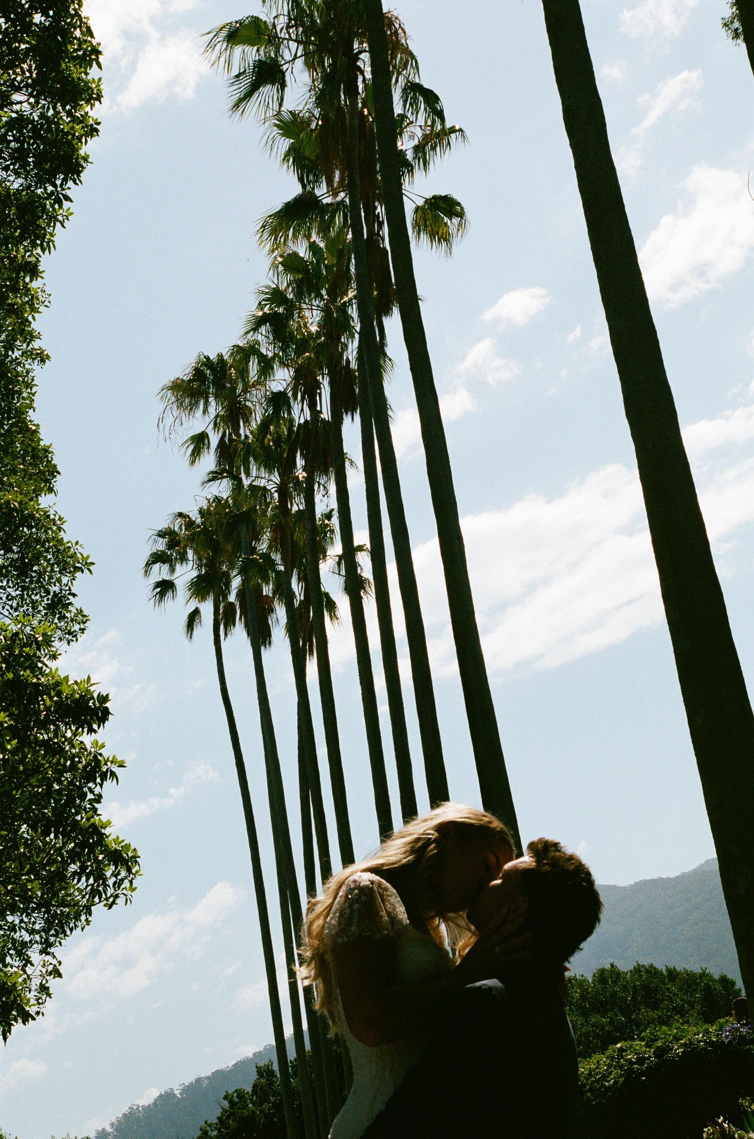 Tall palm trees line up against a bright blue sky creating dramatic silhouettes.